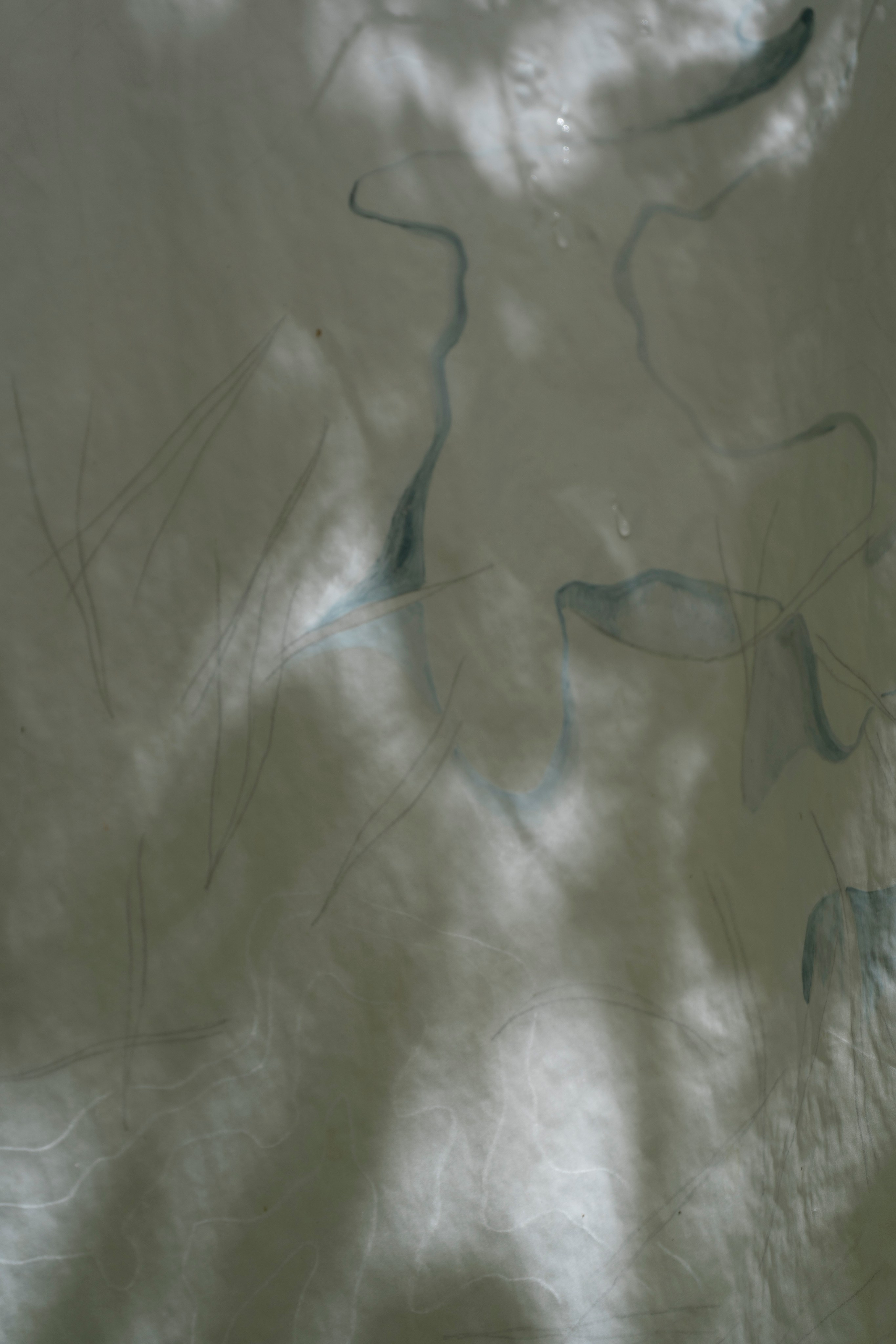 FANTOM MAP OF THE MOTHERLAND. Xexexena.ru