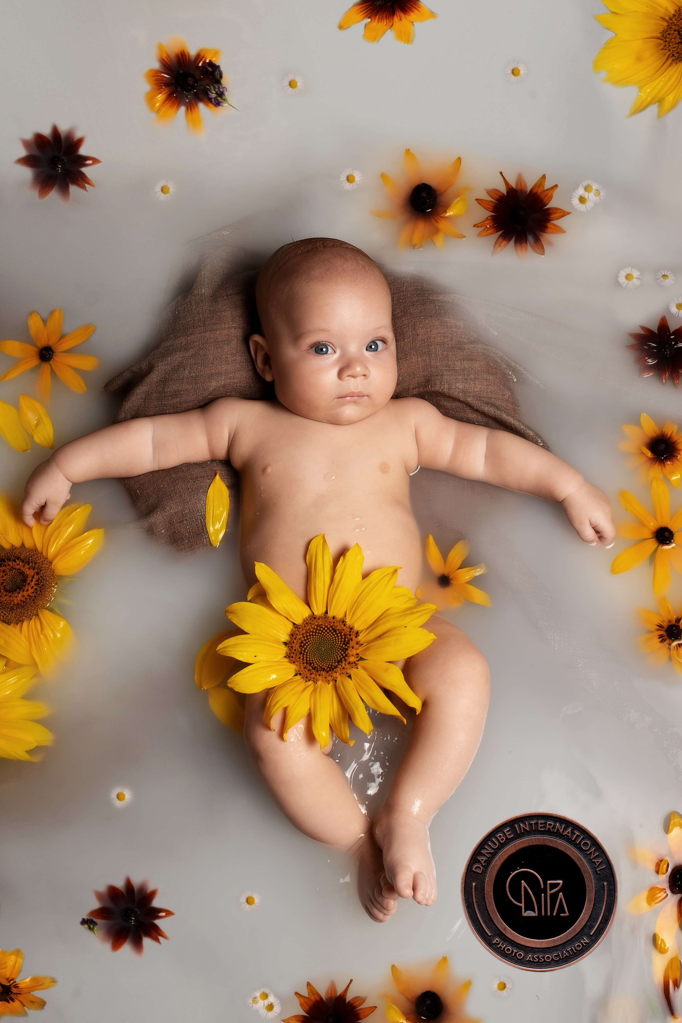 О нас. Фотографы в Орле Шестопаловы Юлия и Юрий