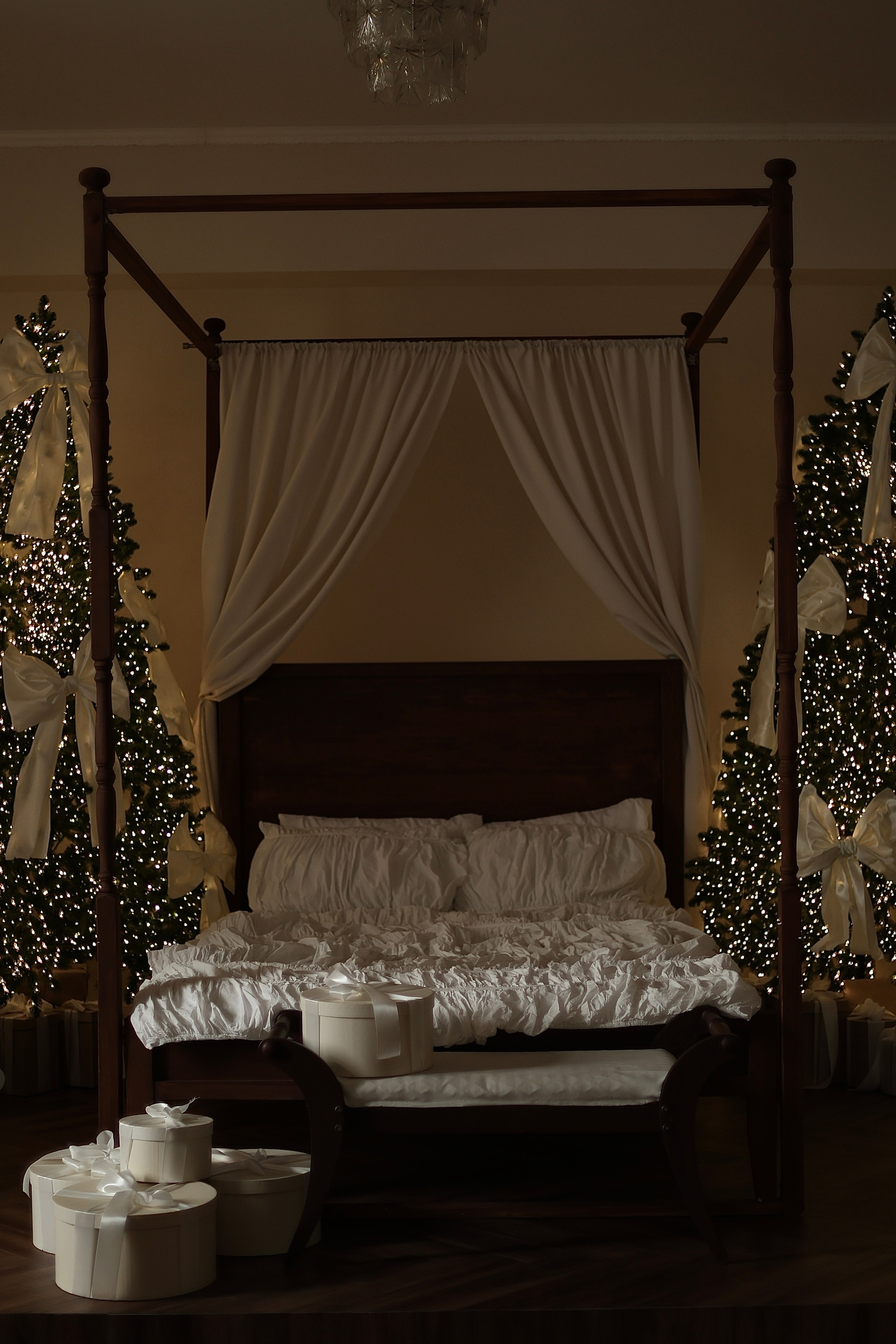 Новогодние 2025-2026. Семейный фотограф Тюмень Смирнова Юлия