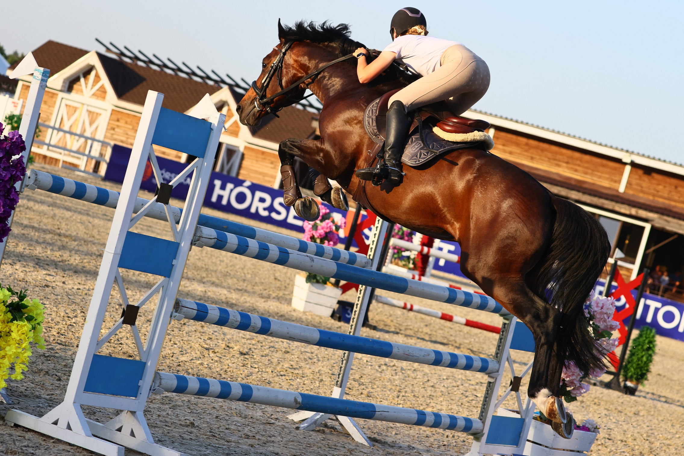 Купить фотографии с турниров. KatymartArt — Equine photography