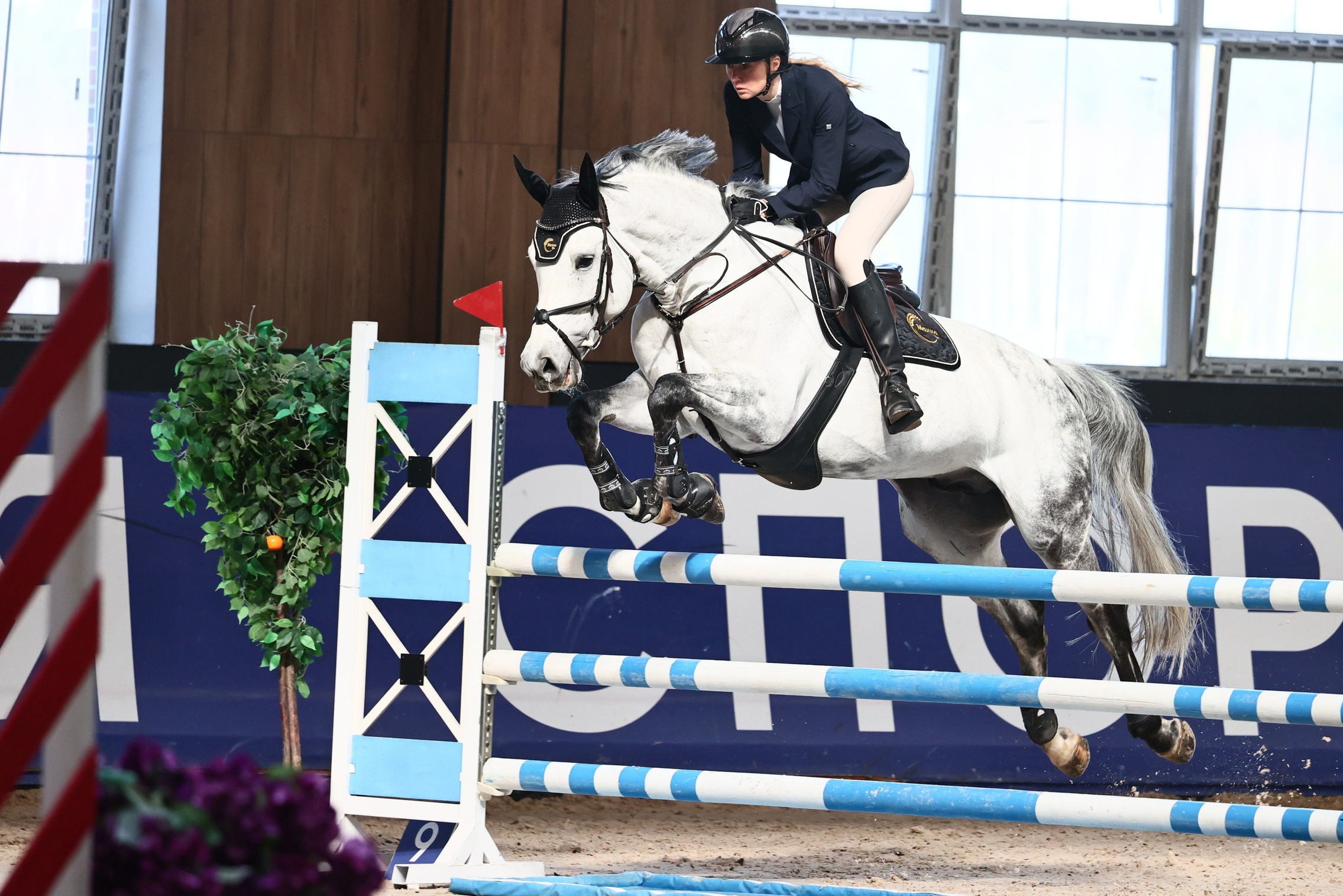 Купить фотографии с турниров. KatymartArt — Equine photography