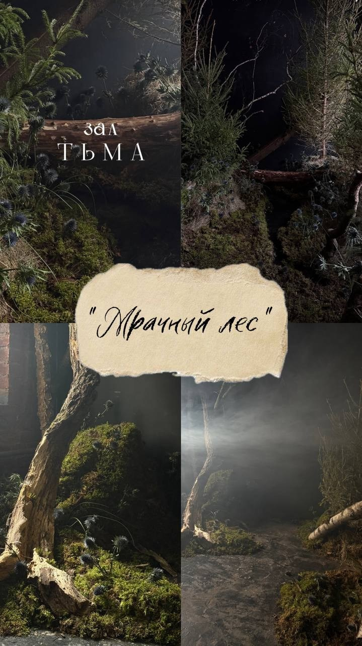 Весенние фотостудии 2026. Свадебный фотограф в Москве Приятелева Ангелина