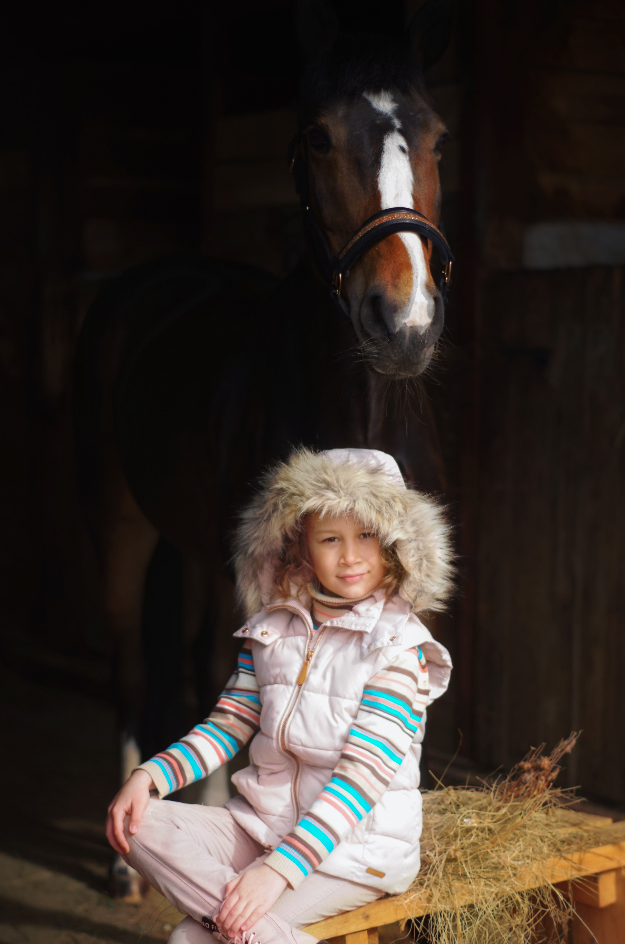 Услуги и цены. Фотограф Марина Доглядная Челябинск фотосессии с лошадьми, мотоциклами