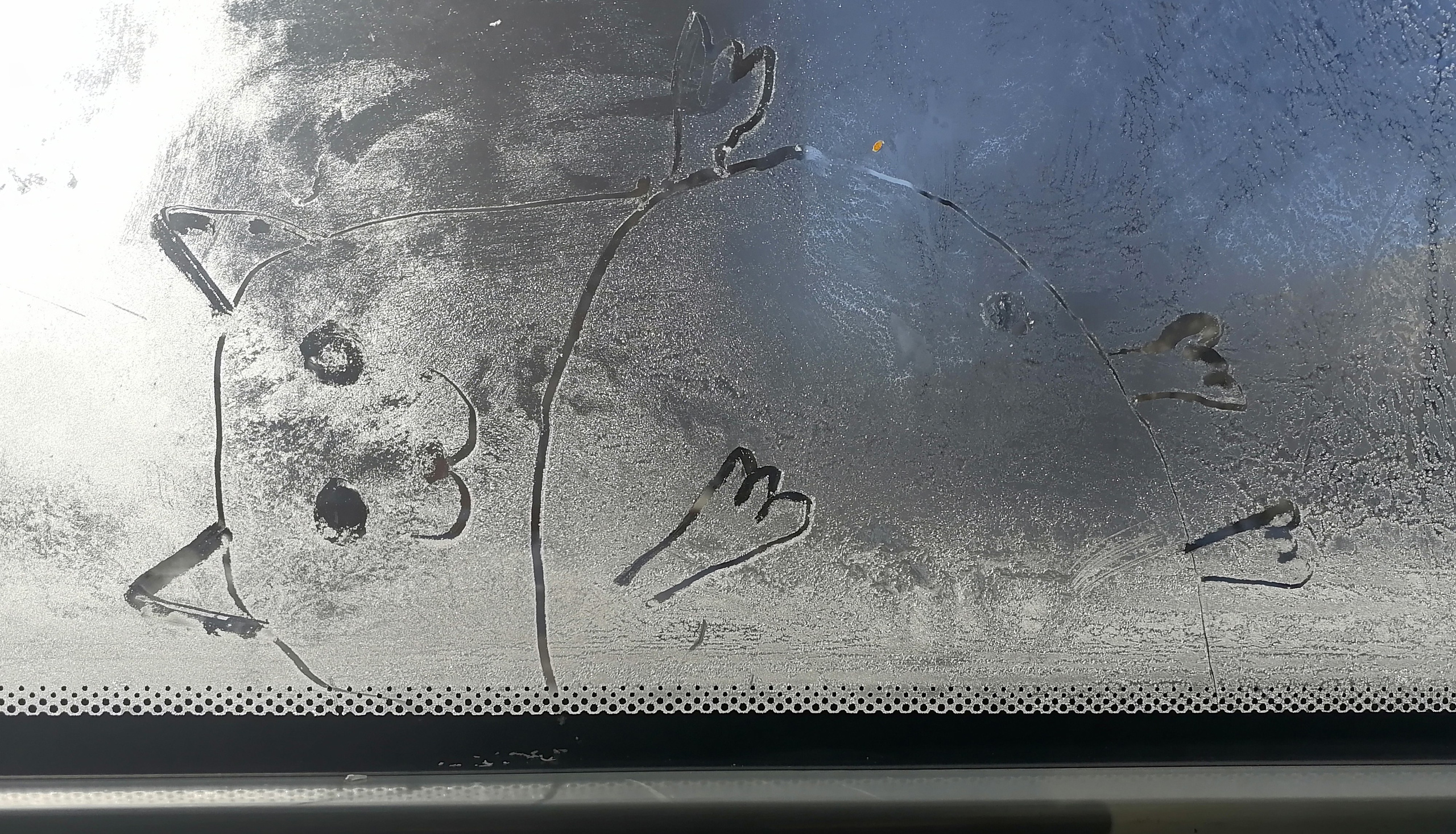 Рисункинаокнахавтобуса. Художник Рыбак Николай