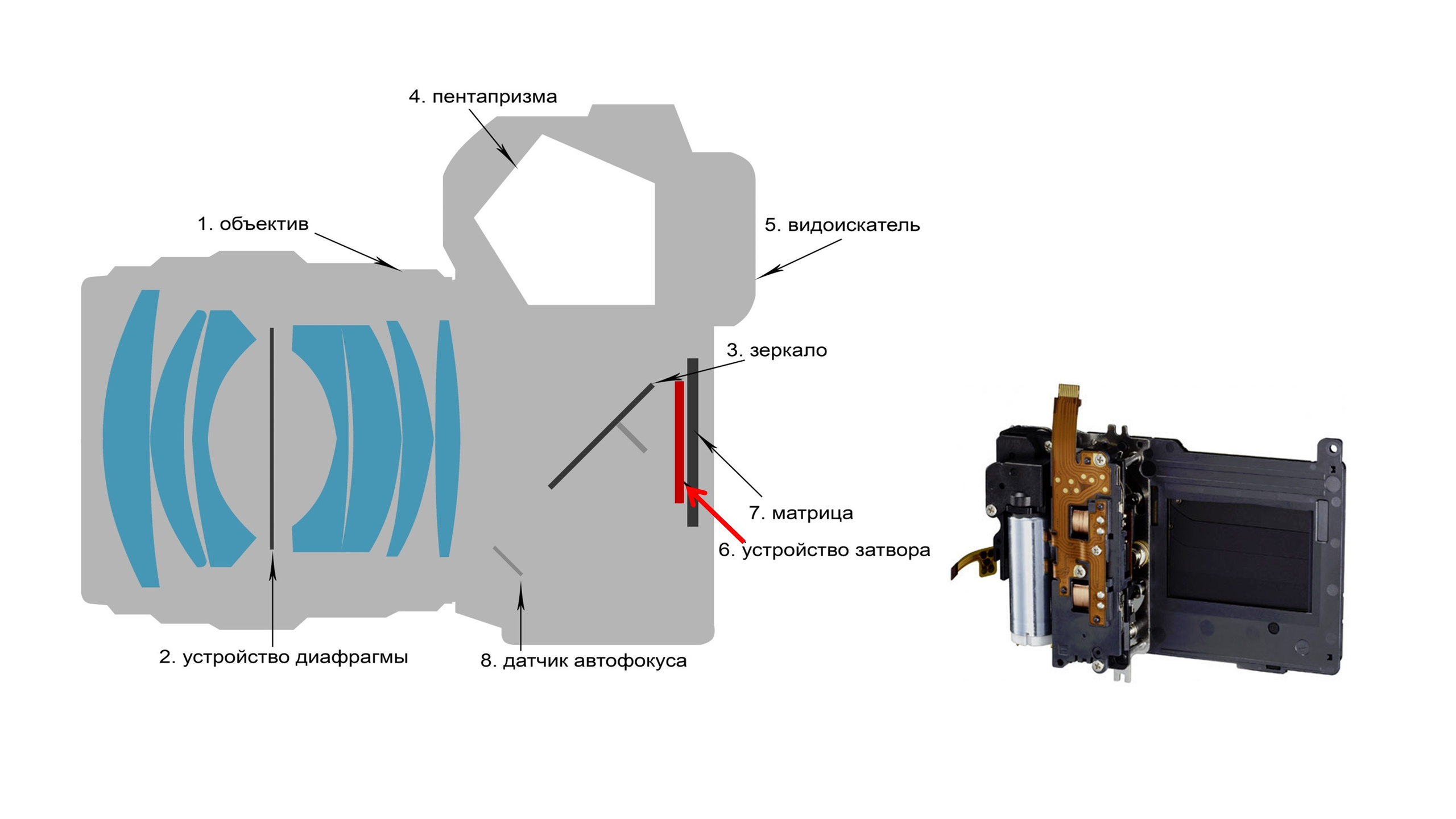 Фотошкола FOTOFQSKOOL: очное и онлайн обучение для всех уровней. FOTOFAQ SKOOL г. Санкт-Петербург: очные, дистанционные и онлайн курсы фотографии