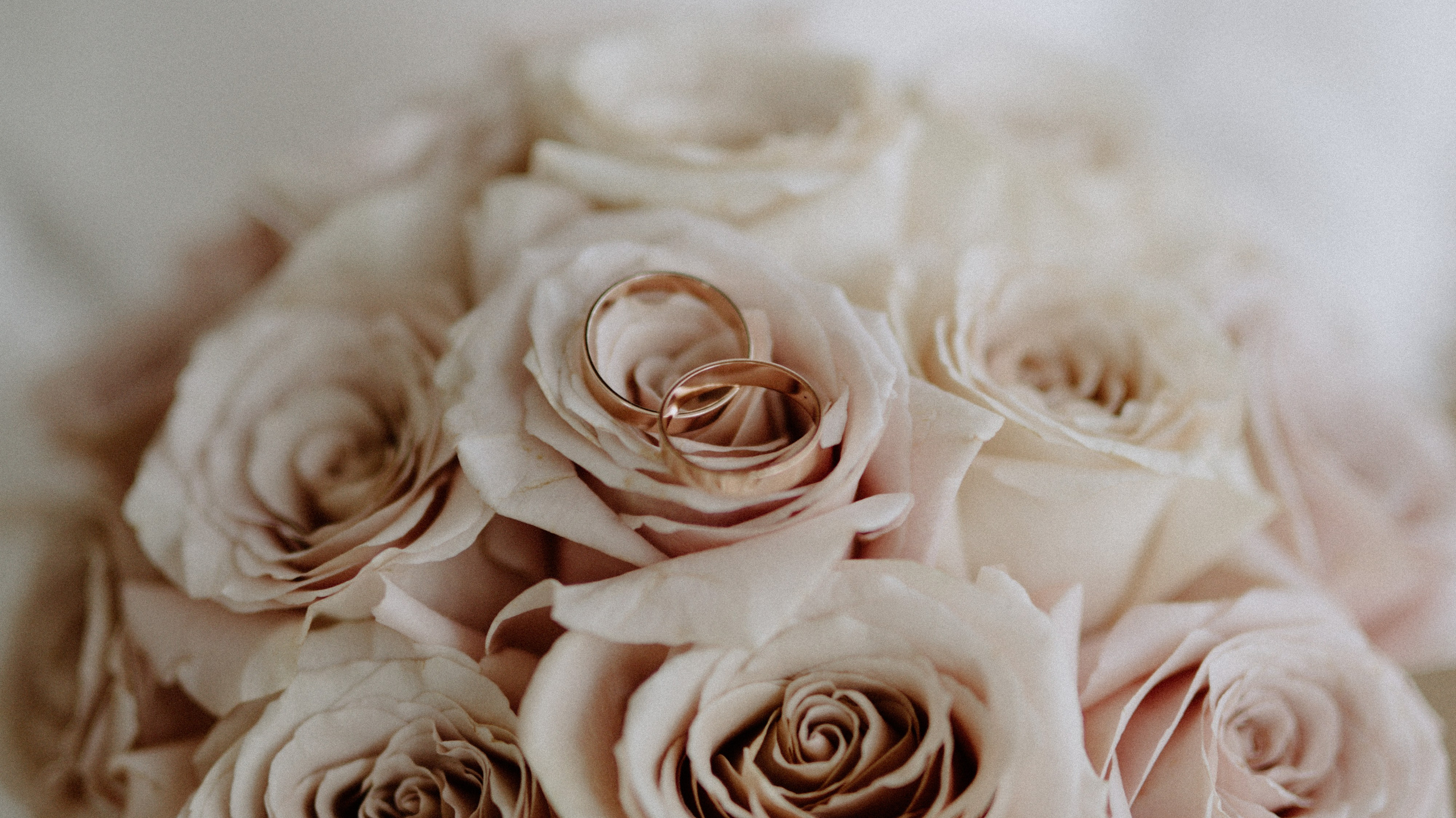 Прайс. Фотограф Улан-Удэ