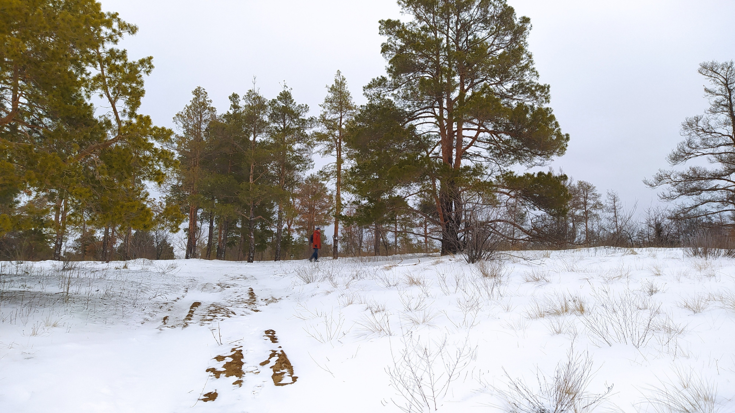 Читальный зал. Марина Рыбкина — Глубинная психология