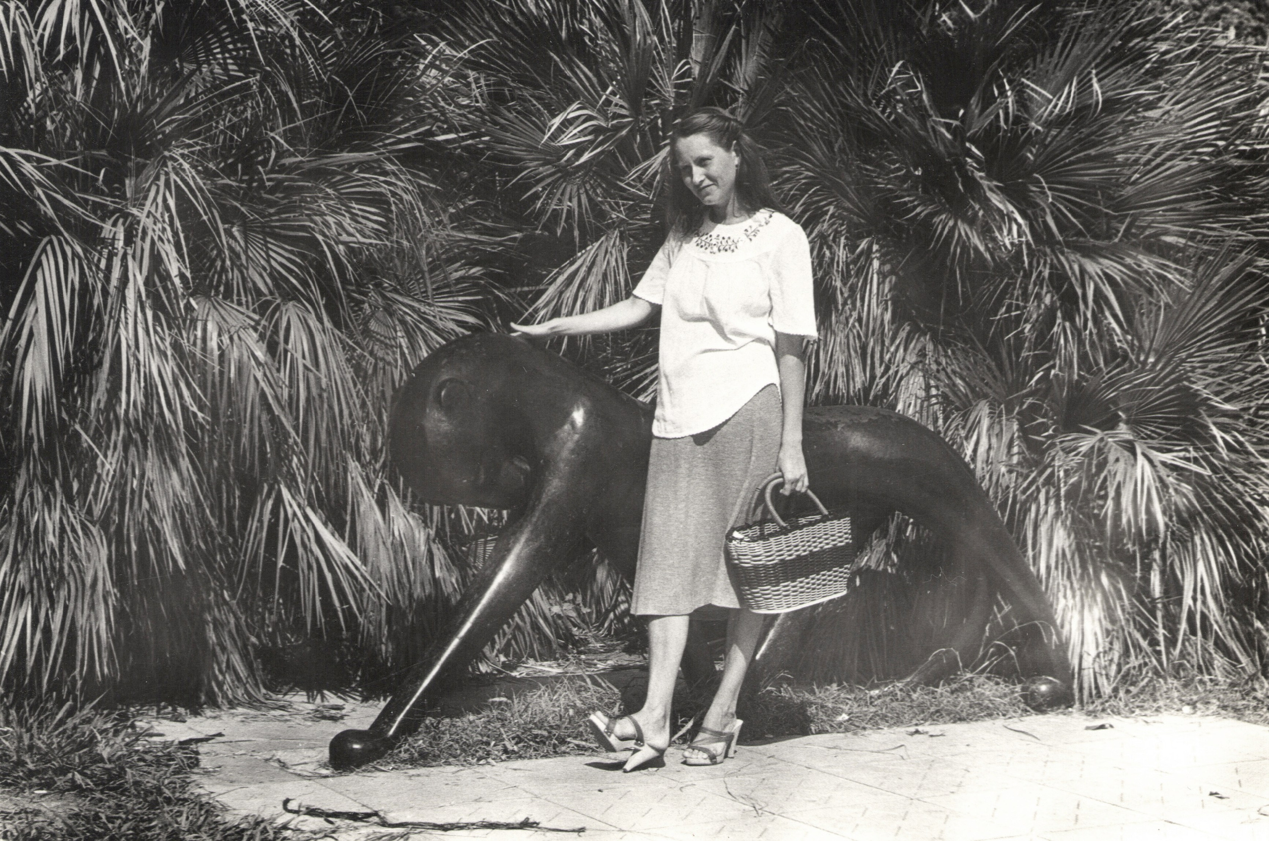 Фотография с пальмой. Курортное дело