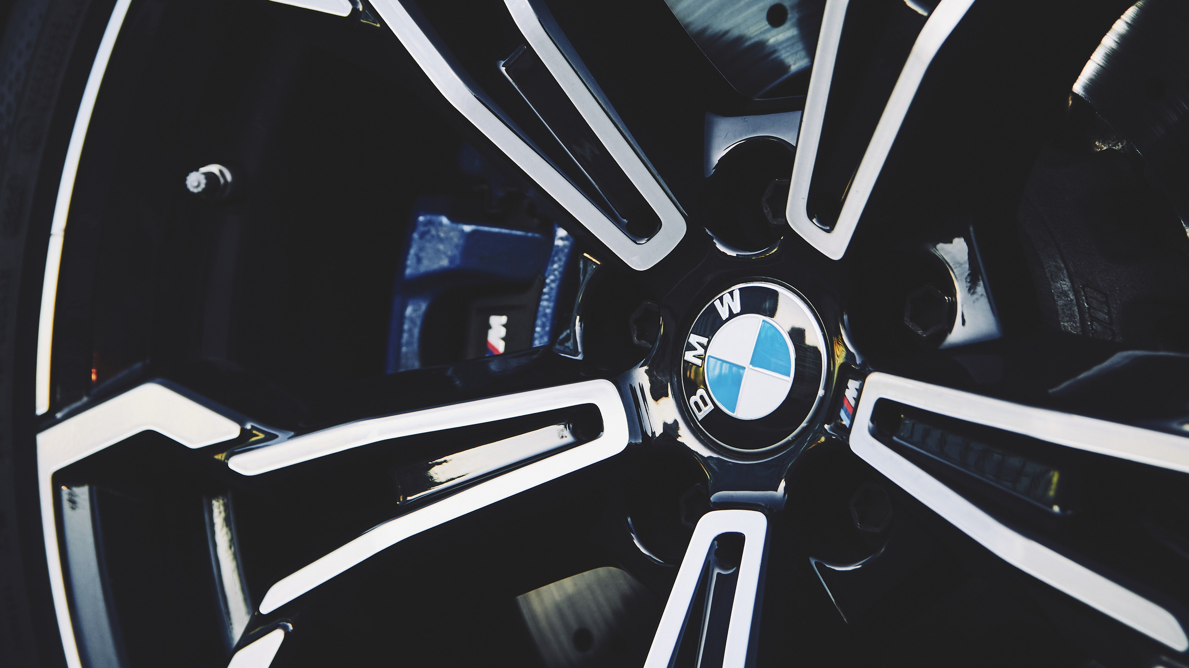 Фотограф в Минске — Владислав Шешко