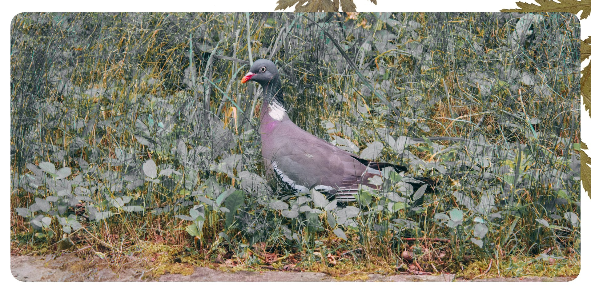 Калининград 1. Фотограф из Москвы — DASHA NOVA | Авторская фотография в разных жанрах