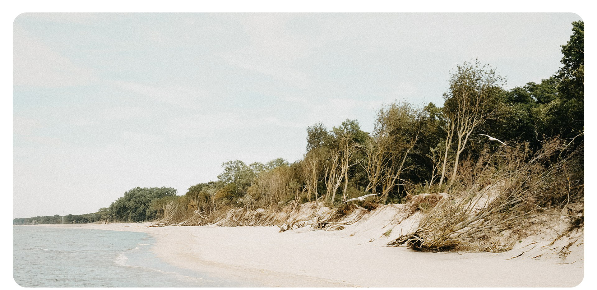 Калининград 3. Фотограф из Москвы — DASHA NOVA | Авторская фотография в разных жанрах