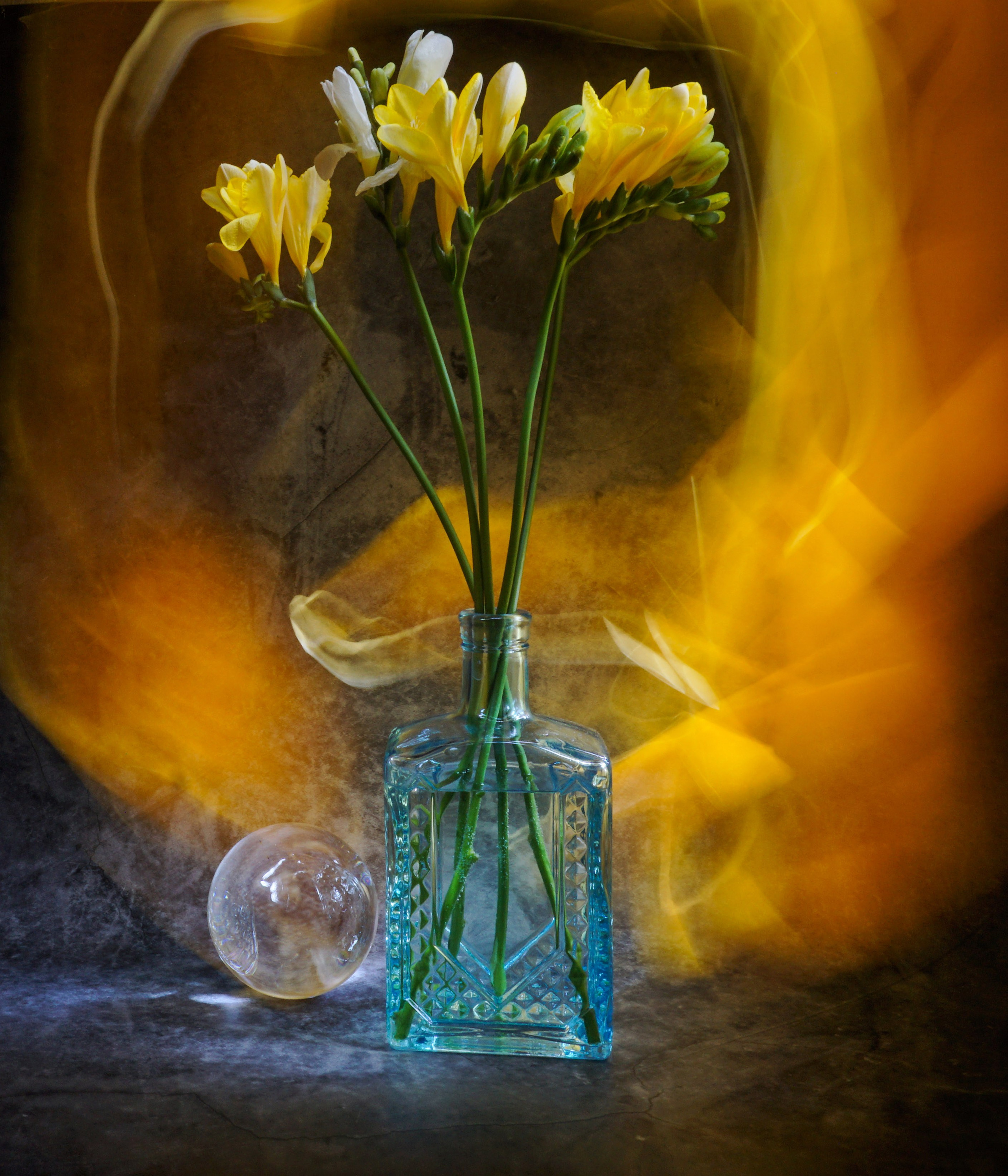 Выставки. Фотохудожник Татьяна Бойцова