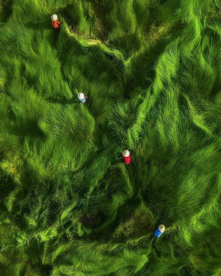 Съемка с коптера, пейзаж Вьетнама и работники