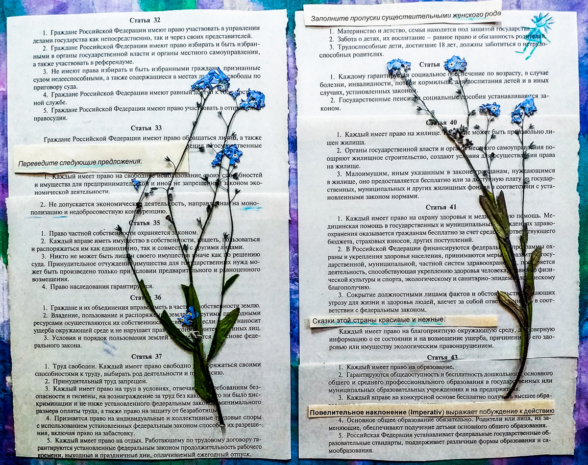 Поправки. Художница Ирина Гейнц