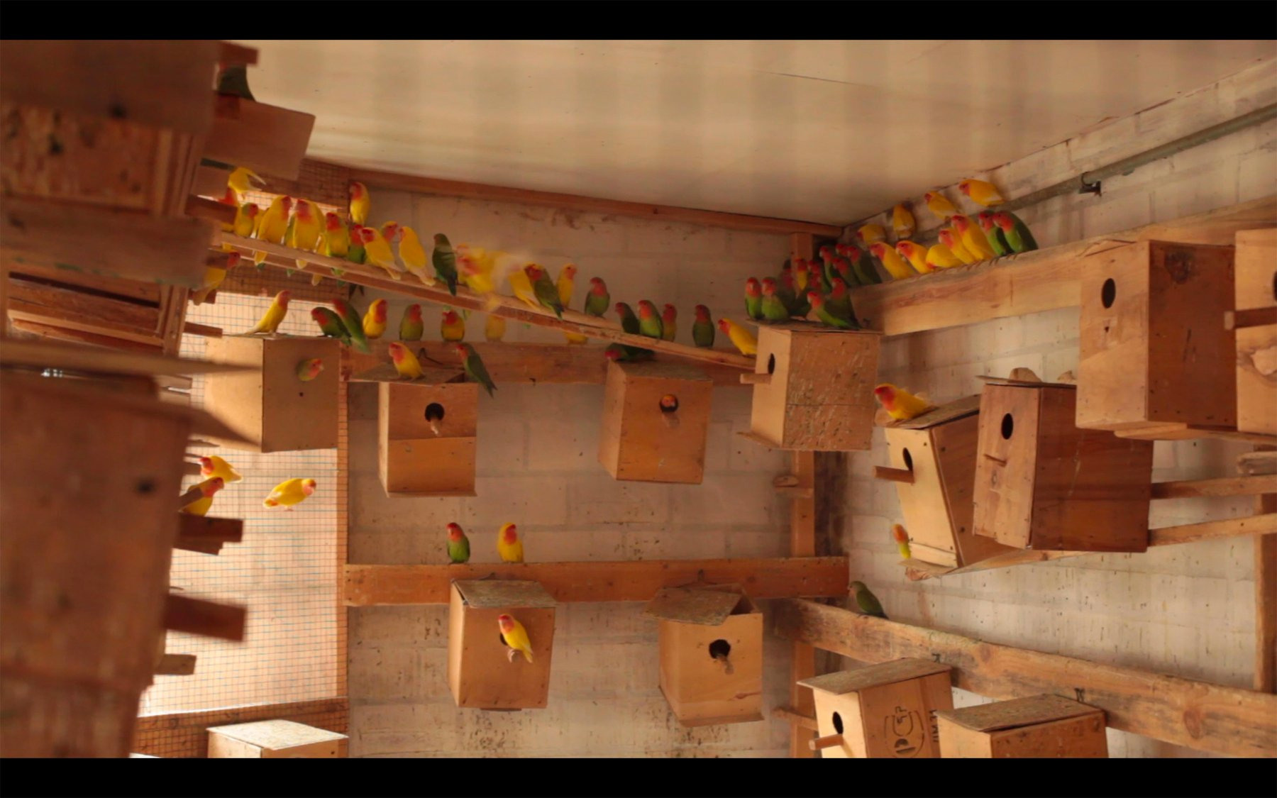 Безмолвие. Ксения Плотникова