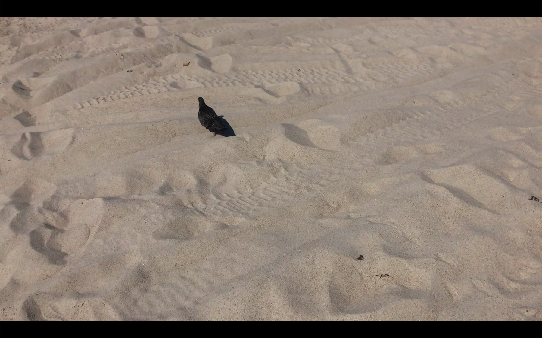 Безмолвие. Ксения Плотникова