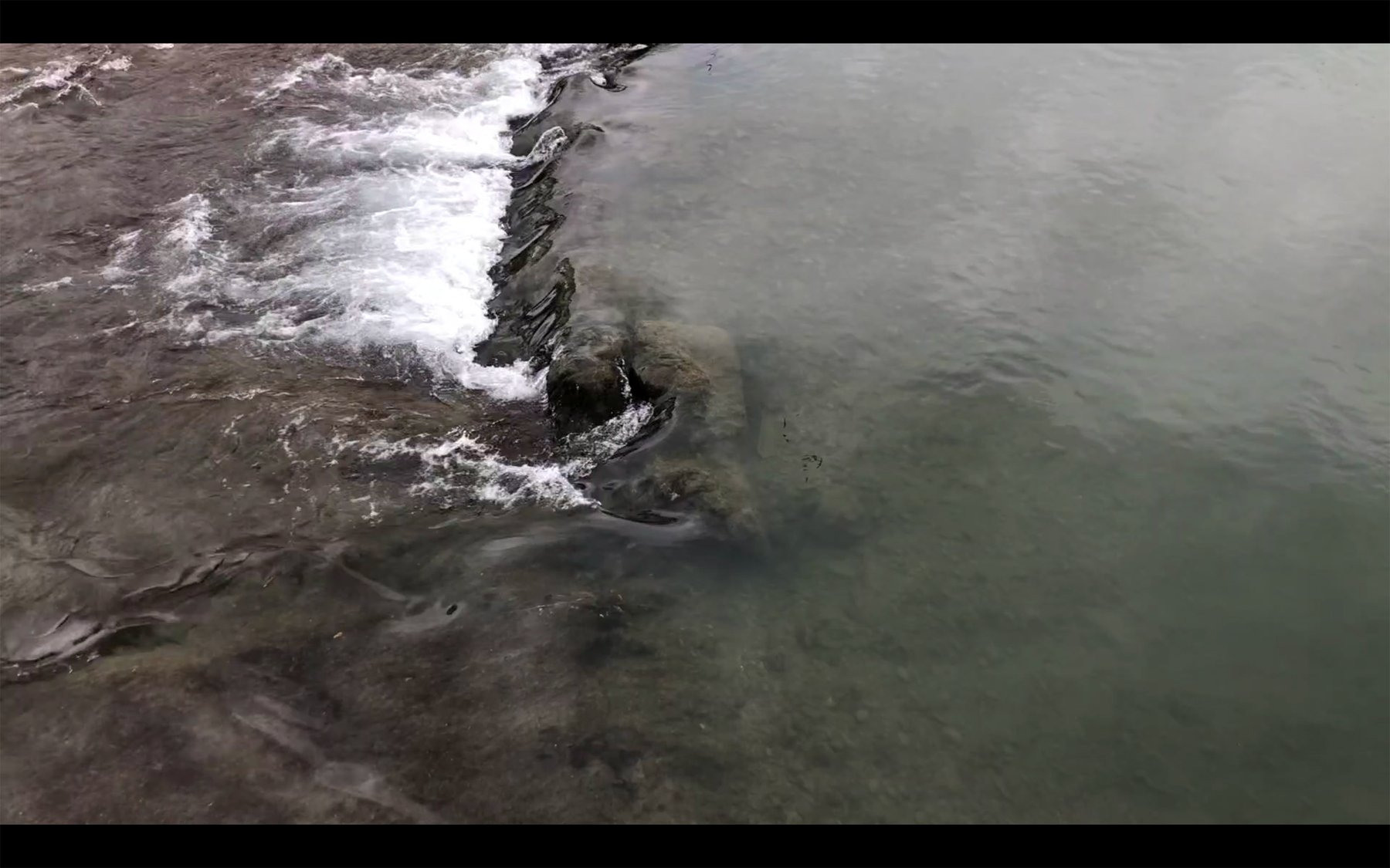 Безмолвие. Ксения Плотникова