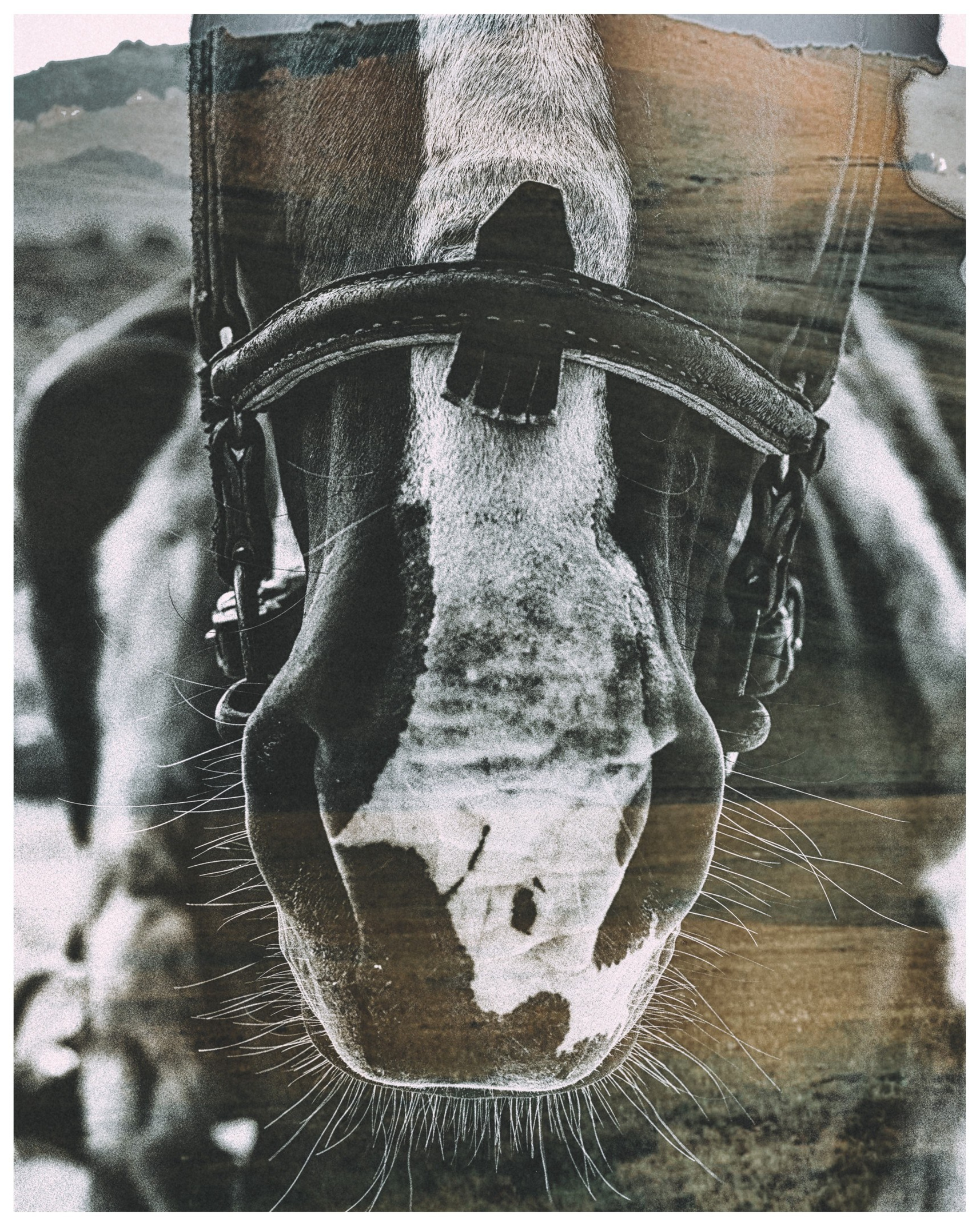 The sky is under your feet. HOME