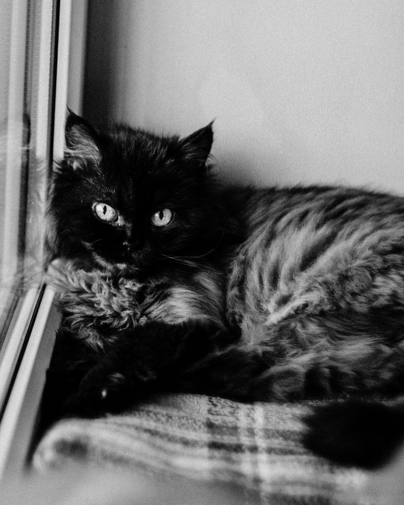 Проект «Быть дома». Фотограф Дарья Мустафина, Тюмень