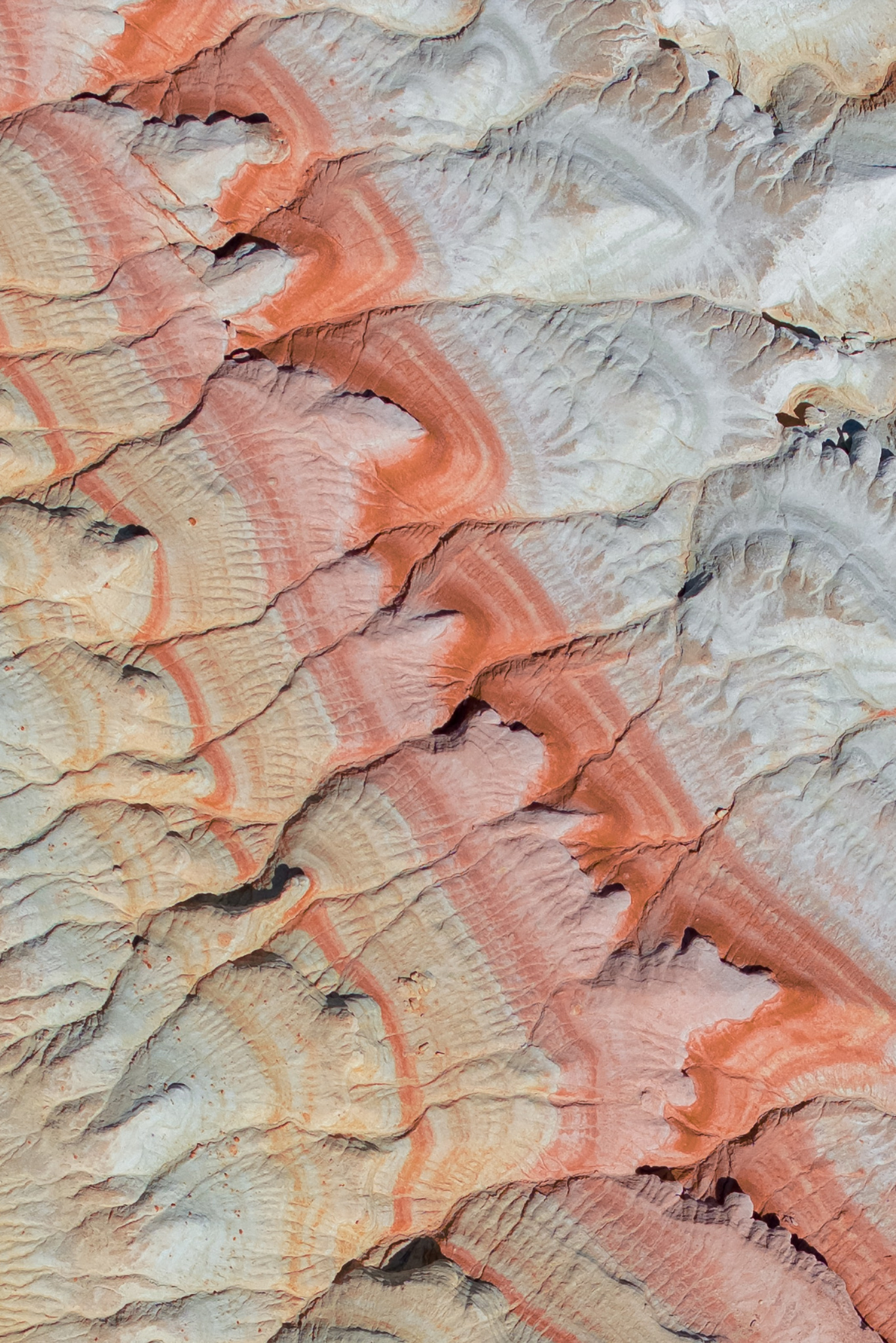 Daria wanderer photography