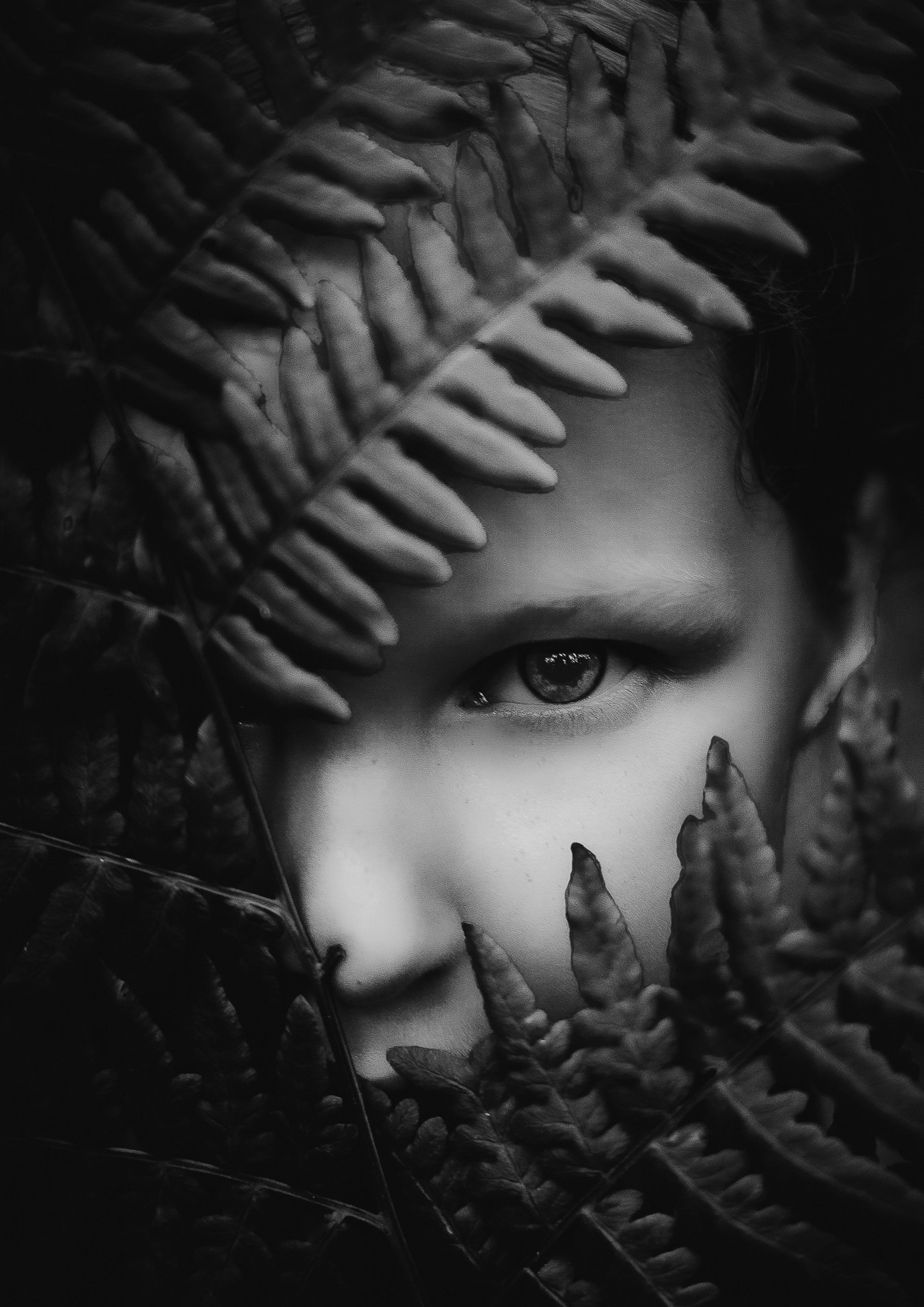 Черно-белая или цветная фотография: философия визуального выбора