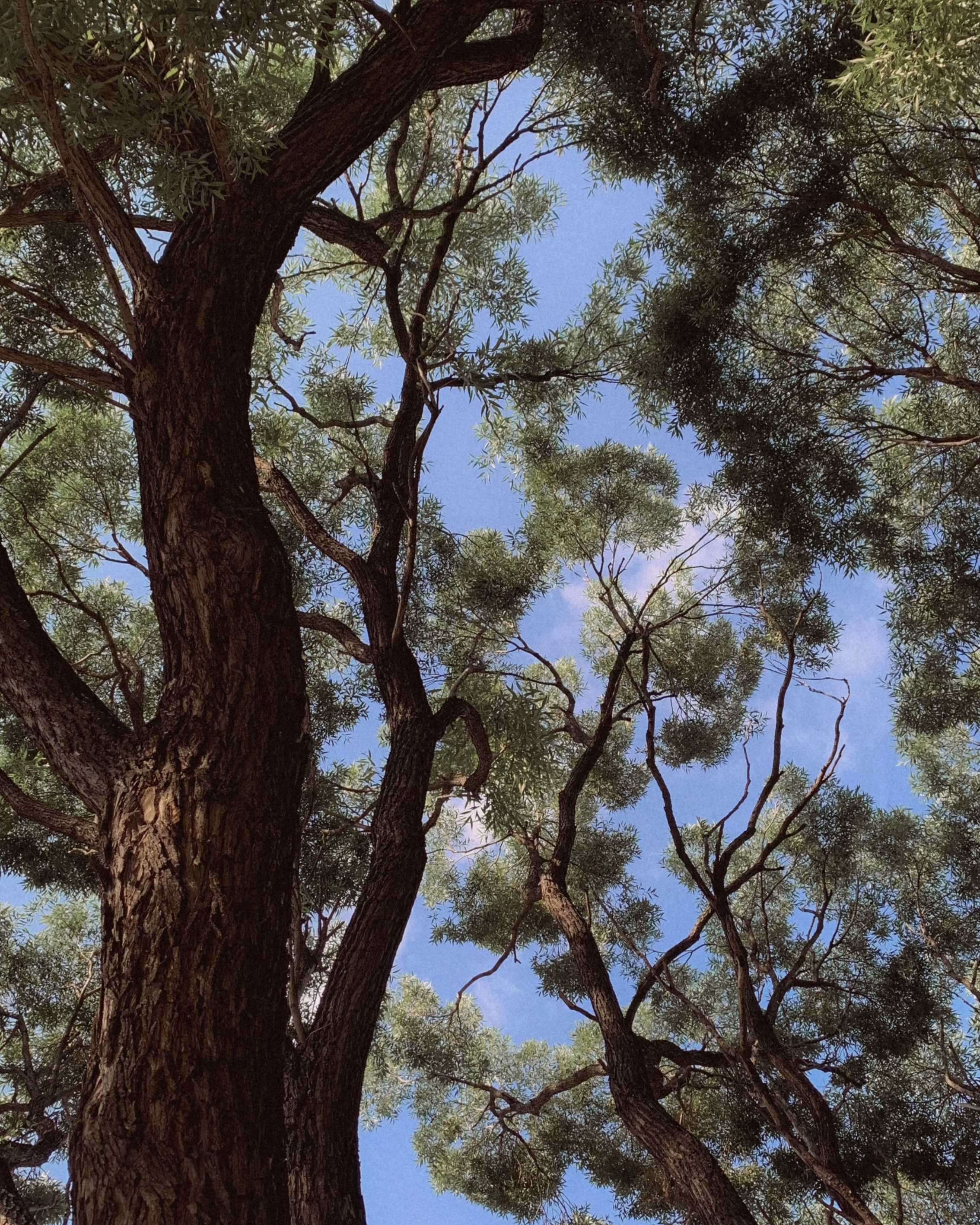 Курс «Простая фотография». Фотограф тюмень москва ксения половодова