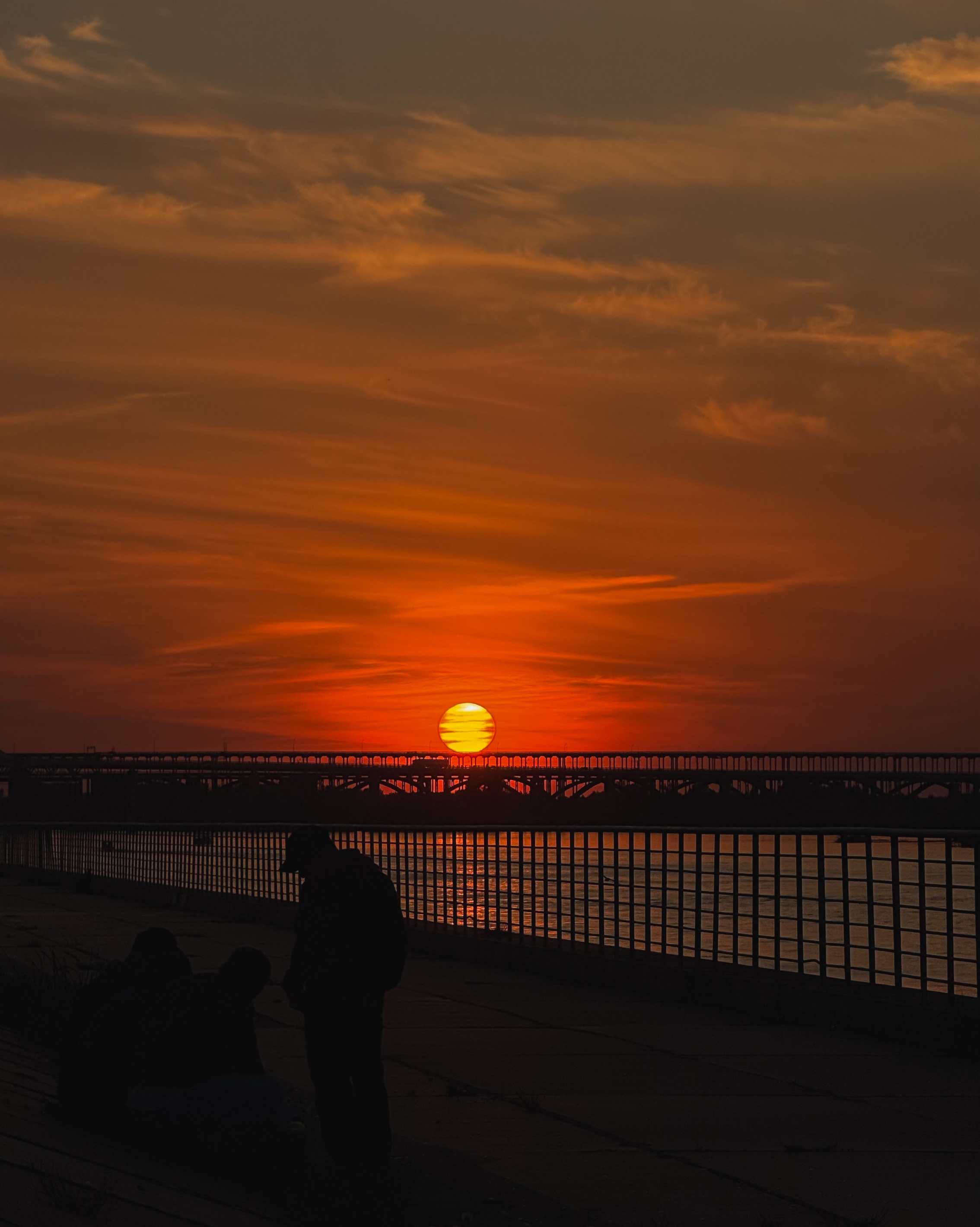 Фотограф-анималист в Санкт-Петербурге Алина Яхонт