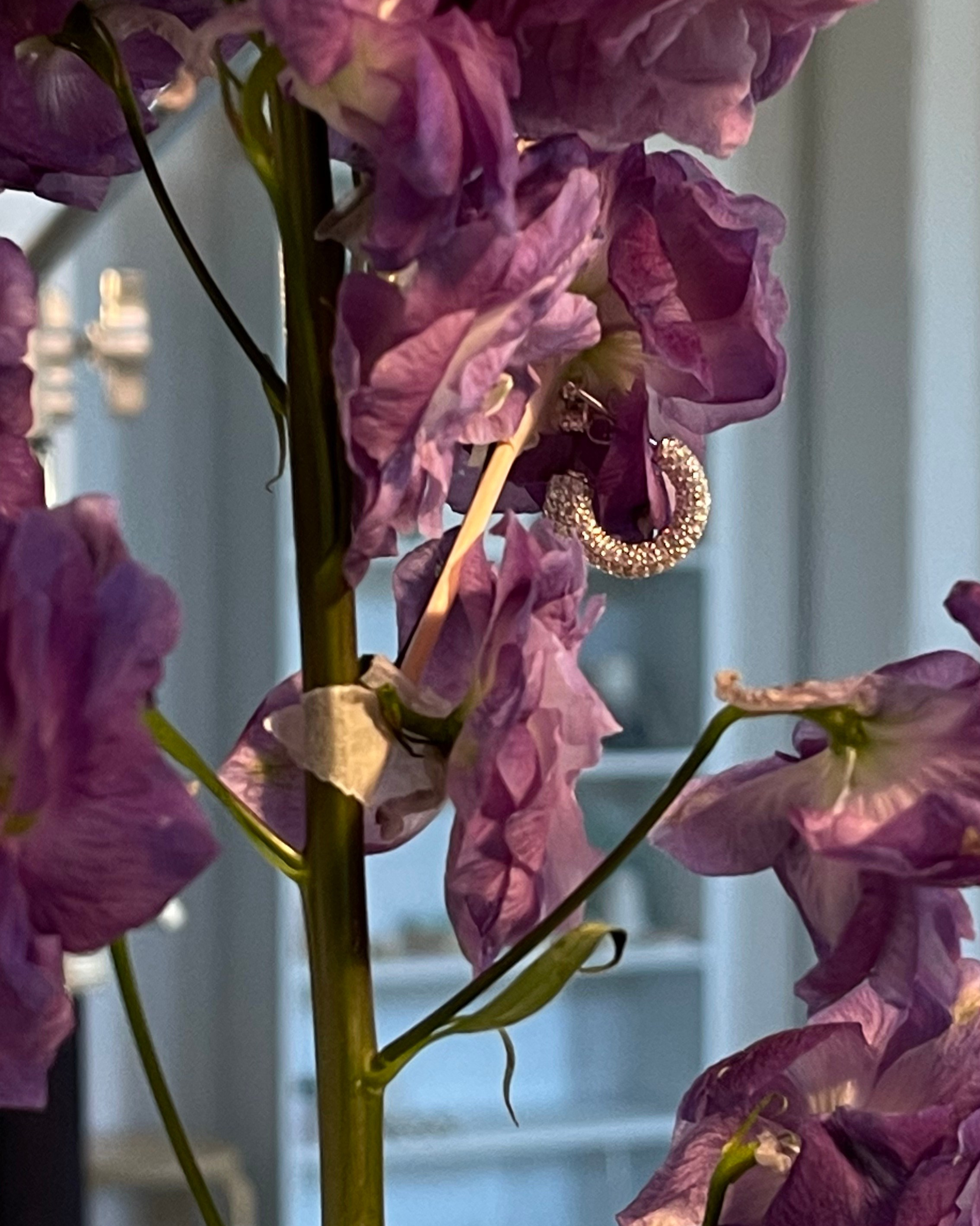 Почему предметные фотографии требуют много времени?. Предметная фотография