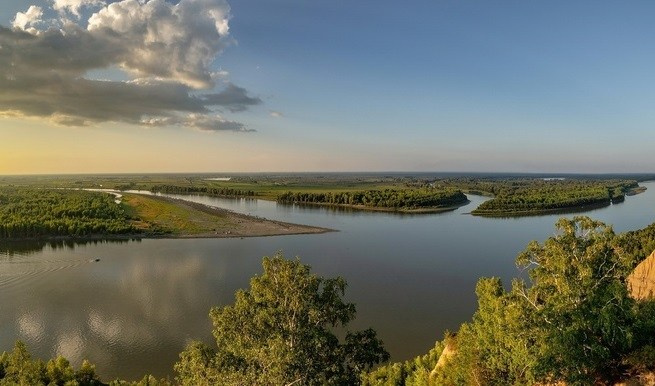 Срочная продажа! Уникальный участок на берегу Оби. Банк земельных участков Алтая