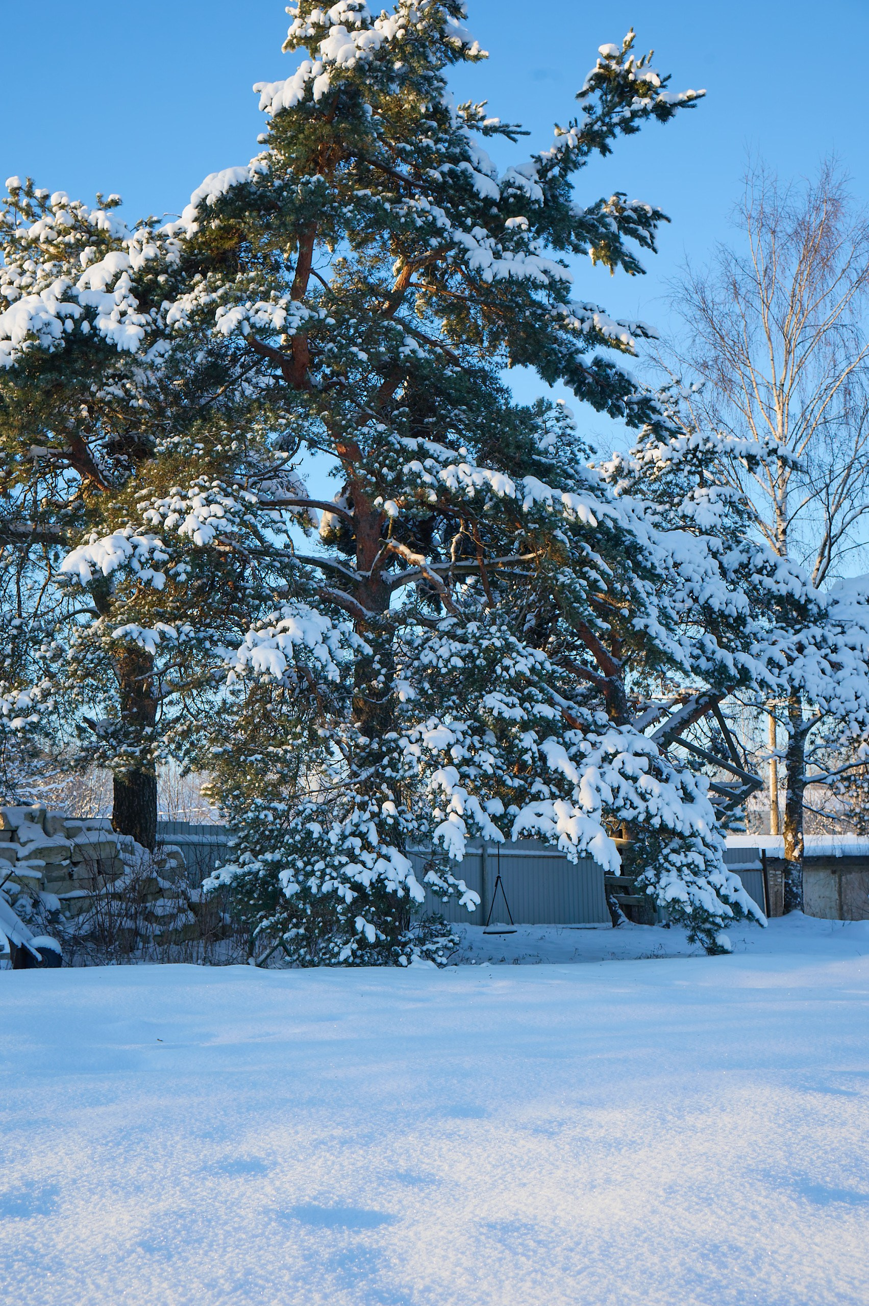 Bio/CV. Irek Shamanaev. Irek Shamanaev. Visual artist