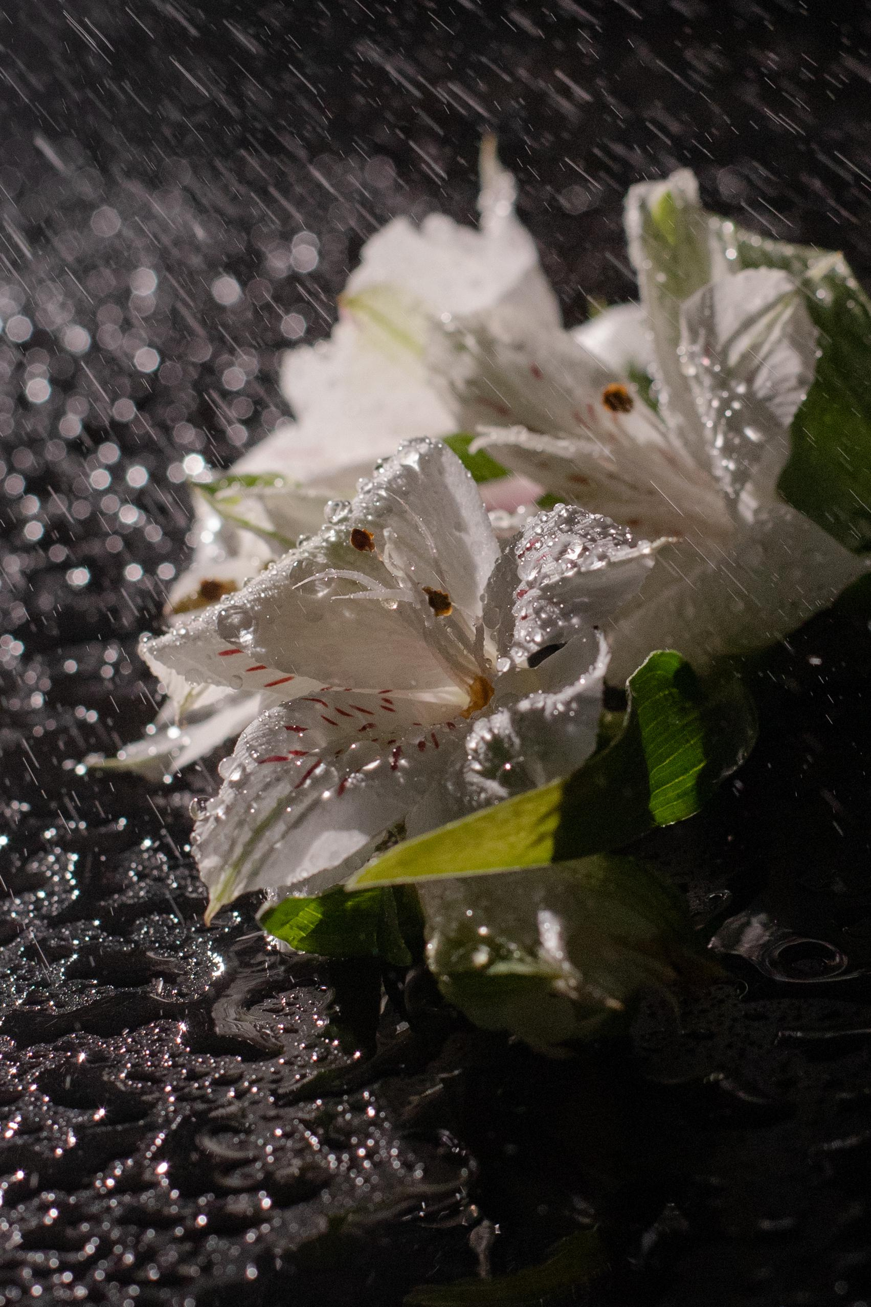 Предметная съемка. Предметный фоторгаф в Нижнем Новгороде Мортина Екатерина