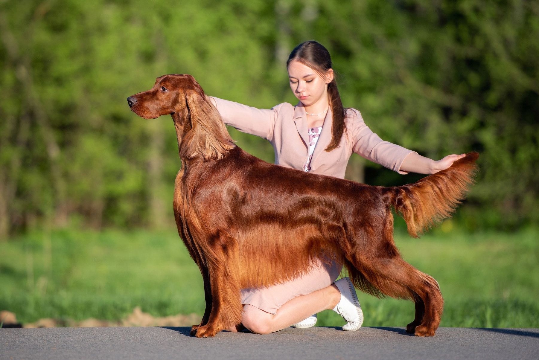 Экстерьерная фотосессия собаки. Фотограф собак в Москве и Московской области Иванушкина Мария