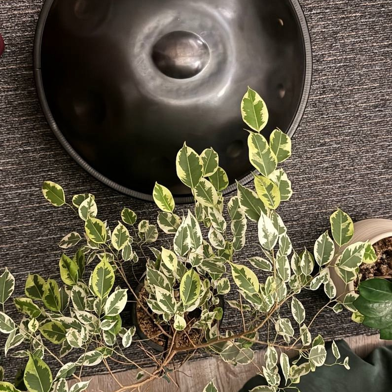 Гипно-ханг «Здоровье». Ханг-дуэт «Биение Сердца»