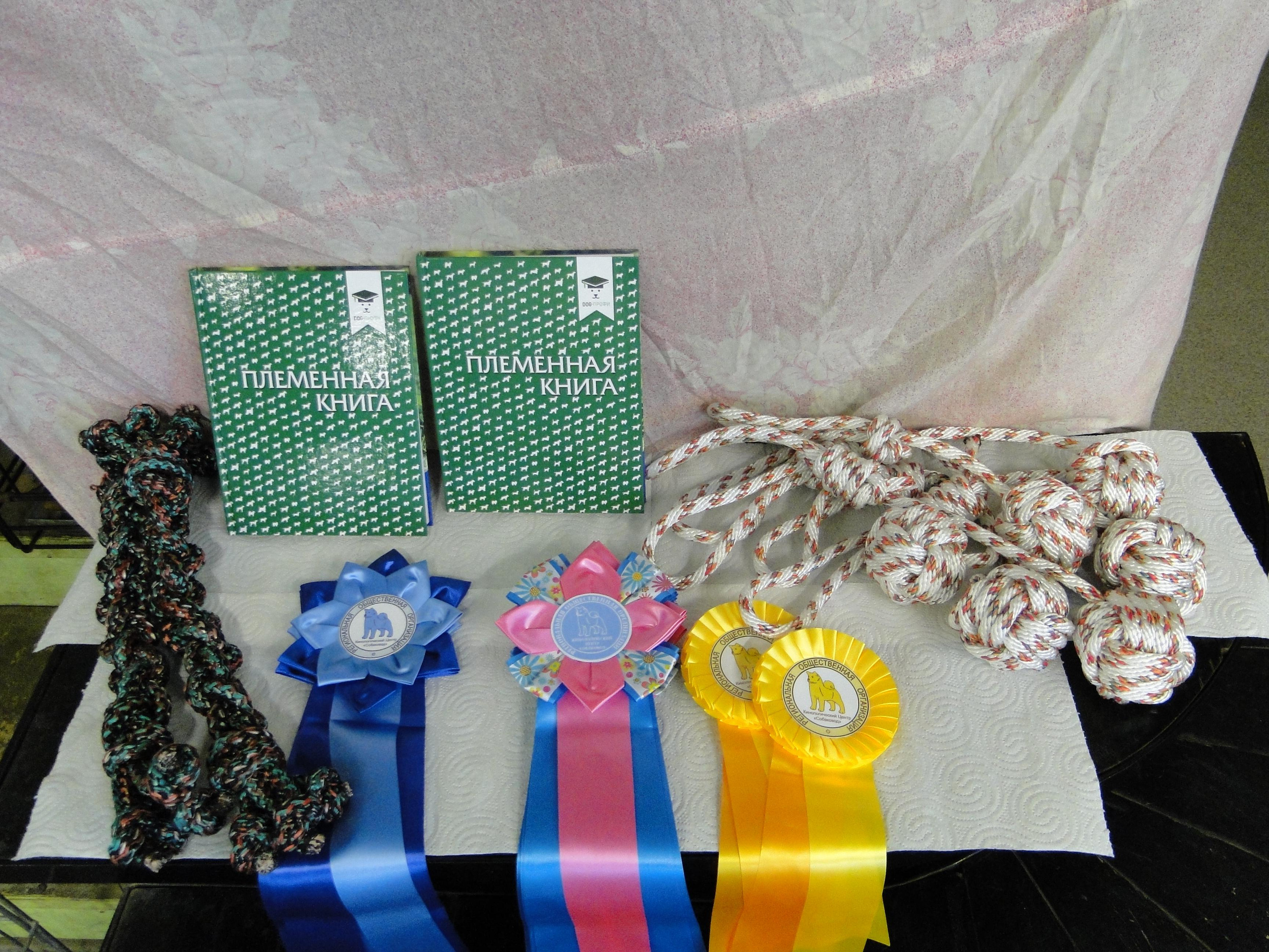 Племенной смотр. Судья РКФ/FCI — Эльвира Викторовна Сандакова. НРОО КЦ "Собаковод"