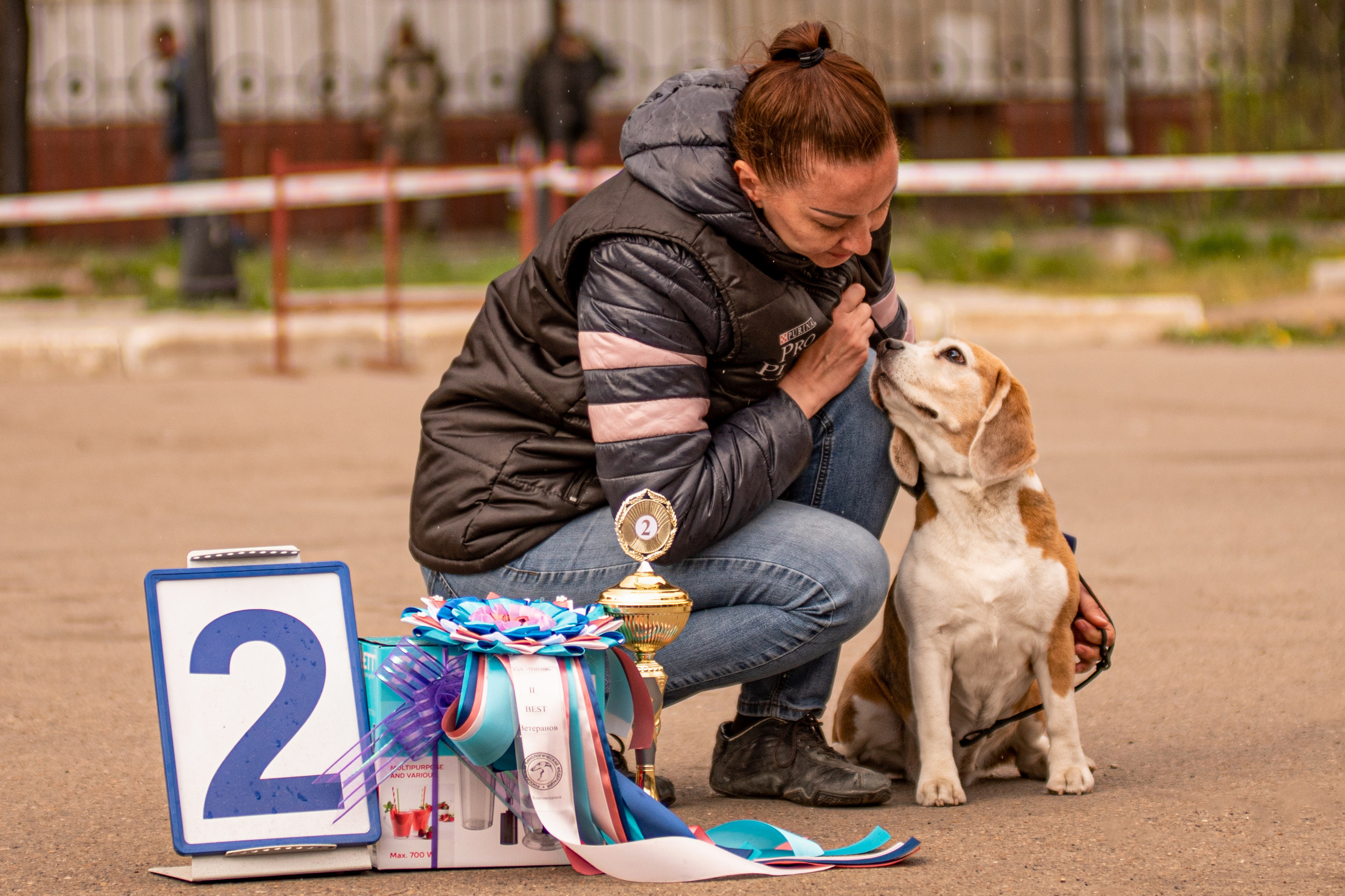 Услуги. Фотограф анималист Благовещенск. Сафонова Виктория