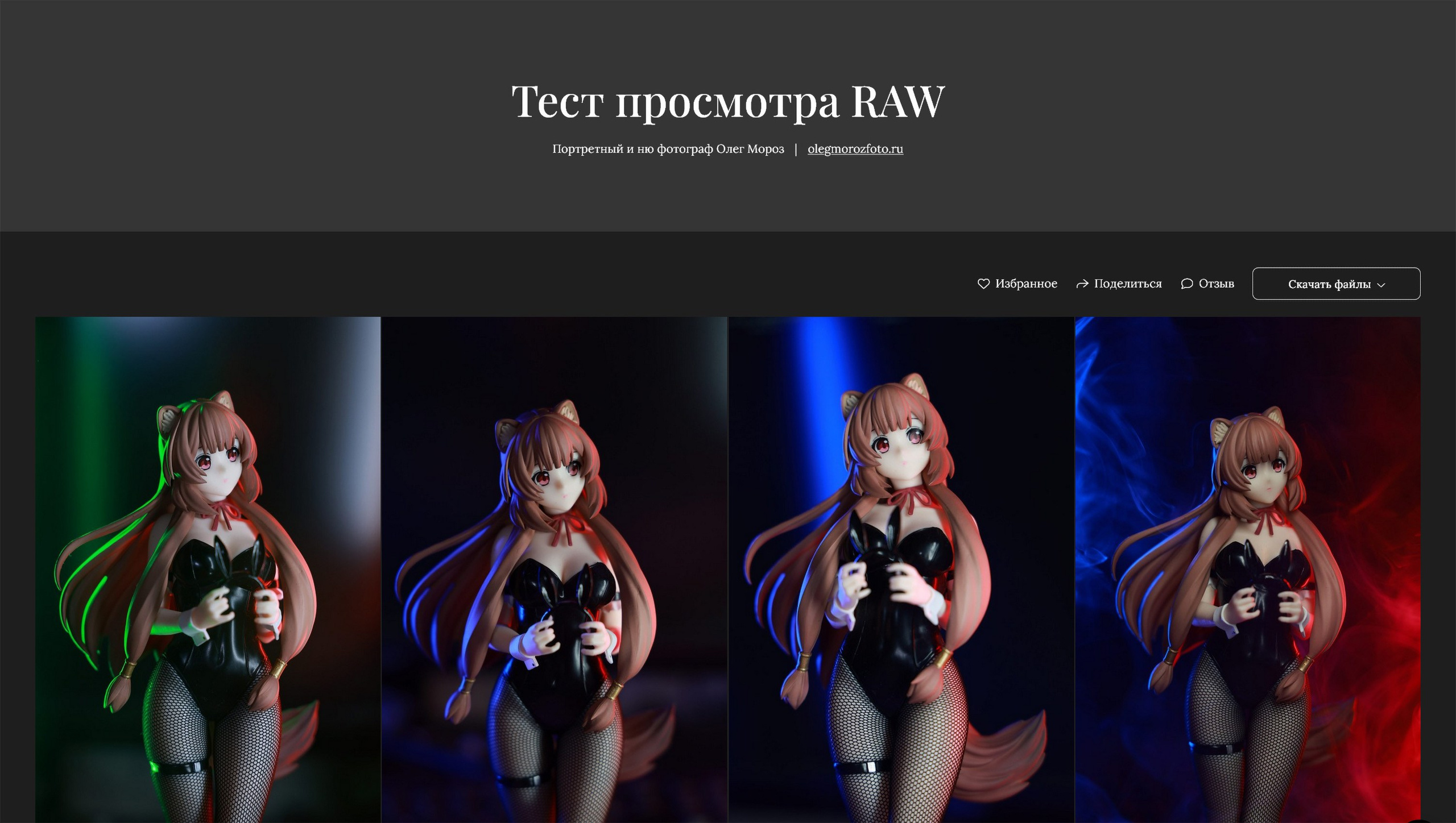 На Wfolio добавили просмотр (поддержку) файлов в форматах RAW (включая CR3 от Canon R5 Mark 2) и HEIC на тарифах с безлимитными дисками