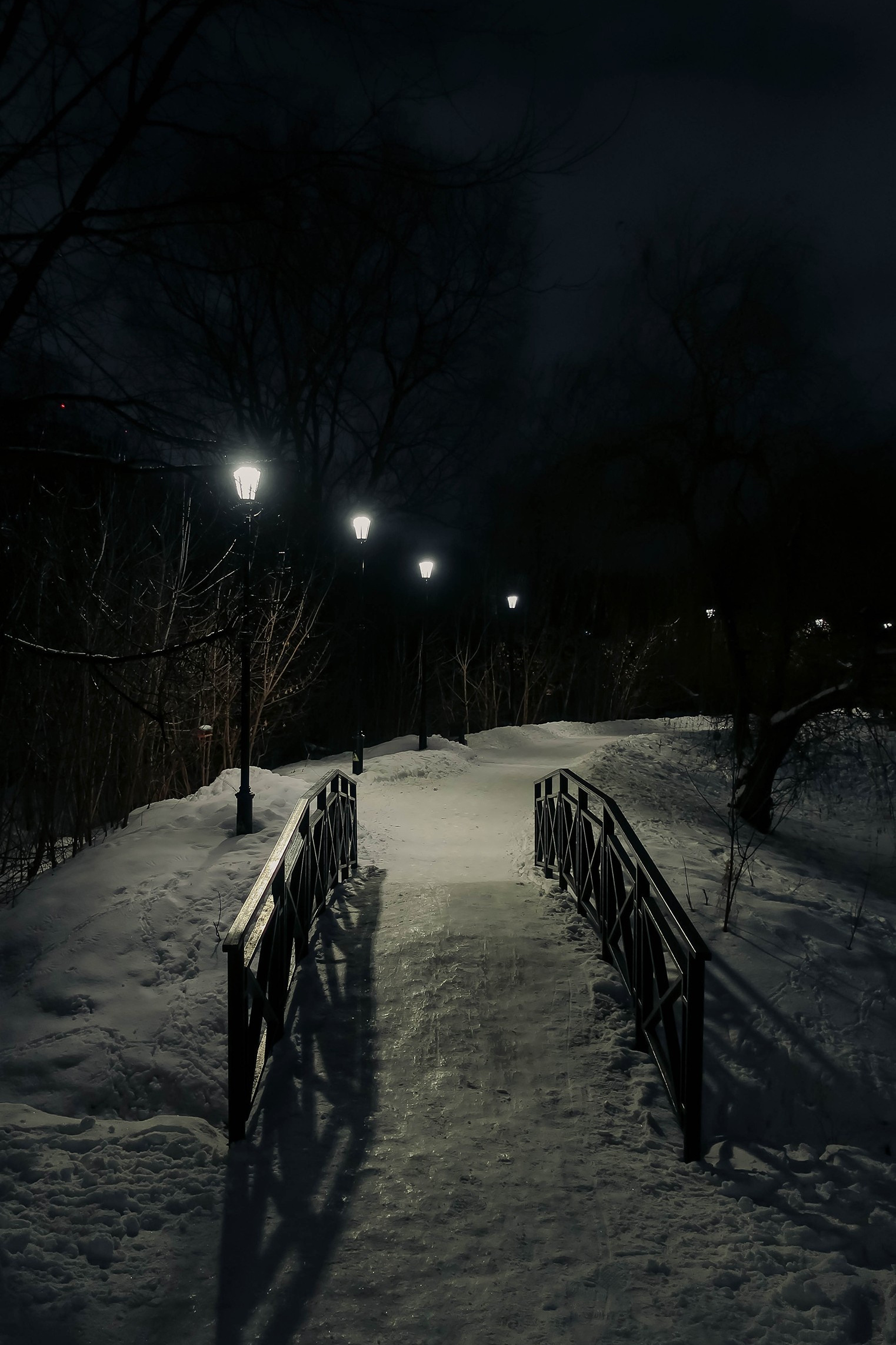 Зимняя фотопрогулка: м. Ботанический сад + частичка парка Яуза. Проект «Фотокладовка»: блог уличной фотографии в формате street photo