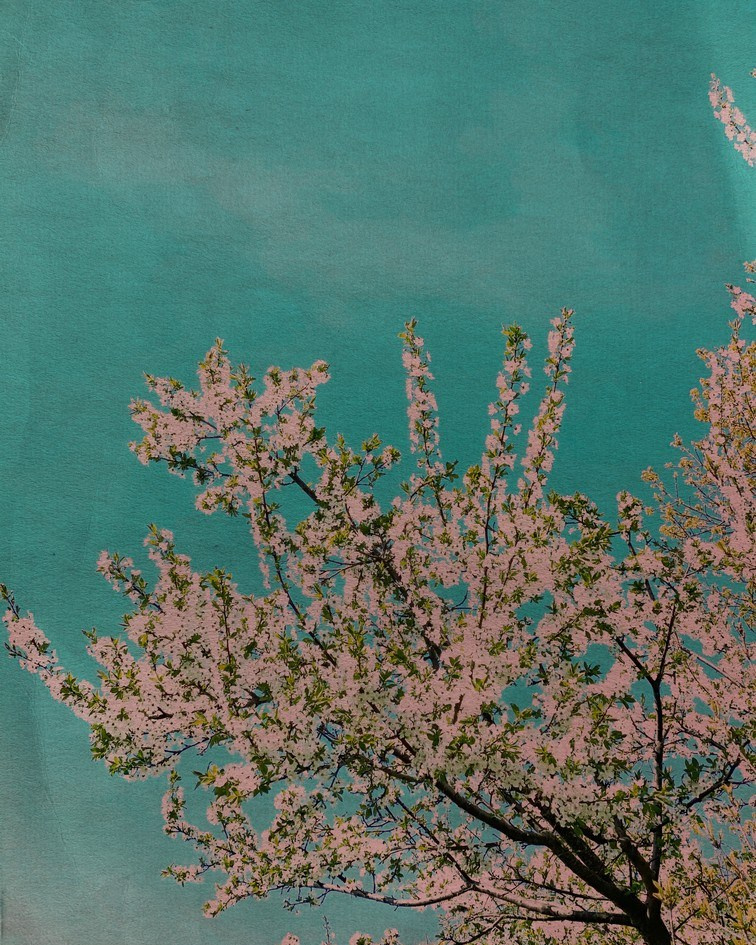 Пробуждение. Visual artist