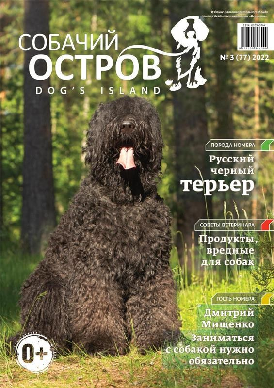 Репортаж Огонек Добра. Steigenberg