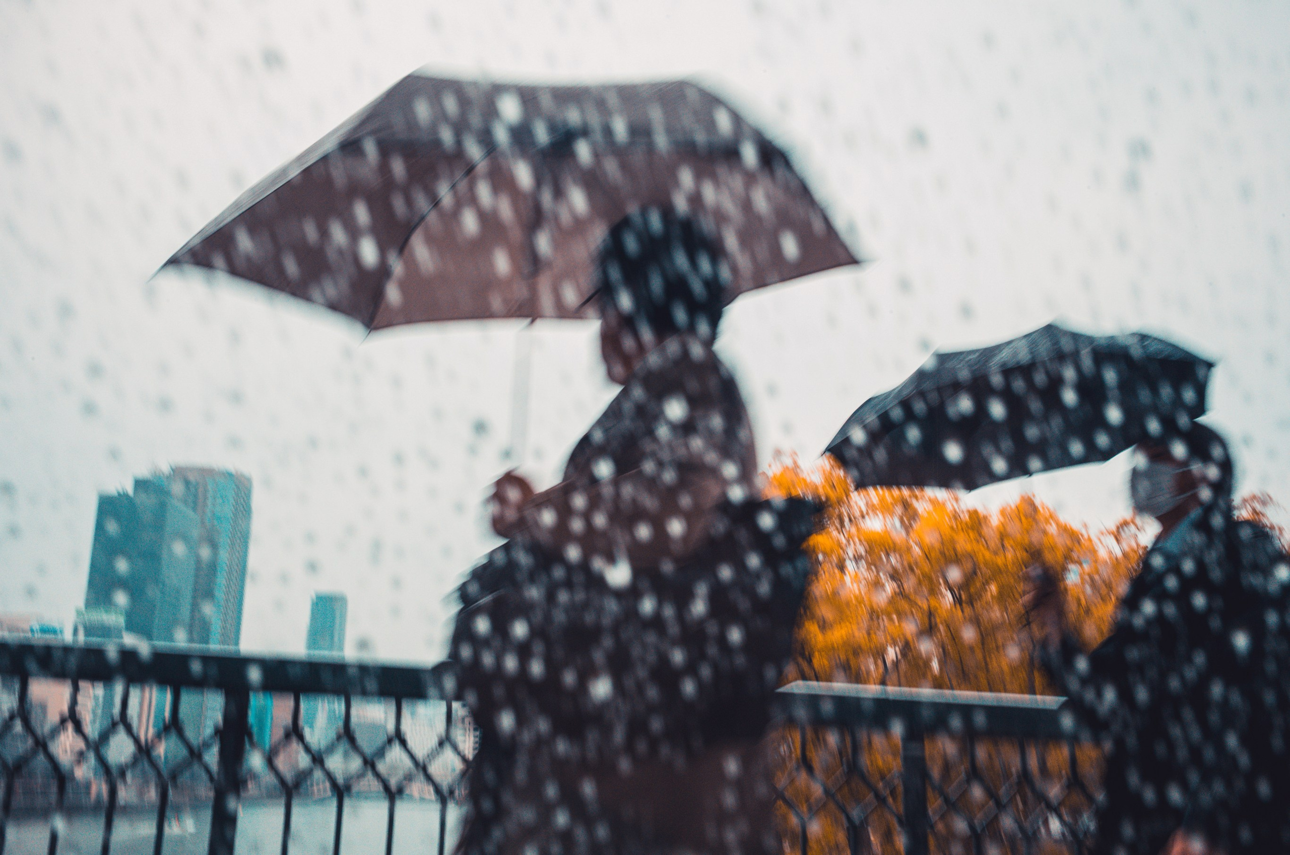 JAPAN DIGITAL. International visual artist