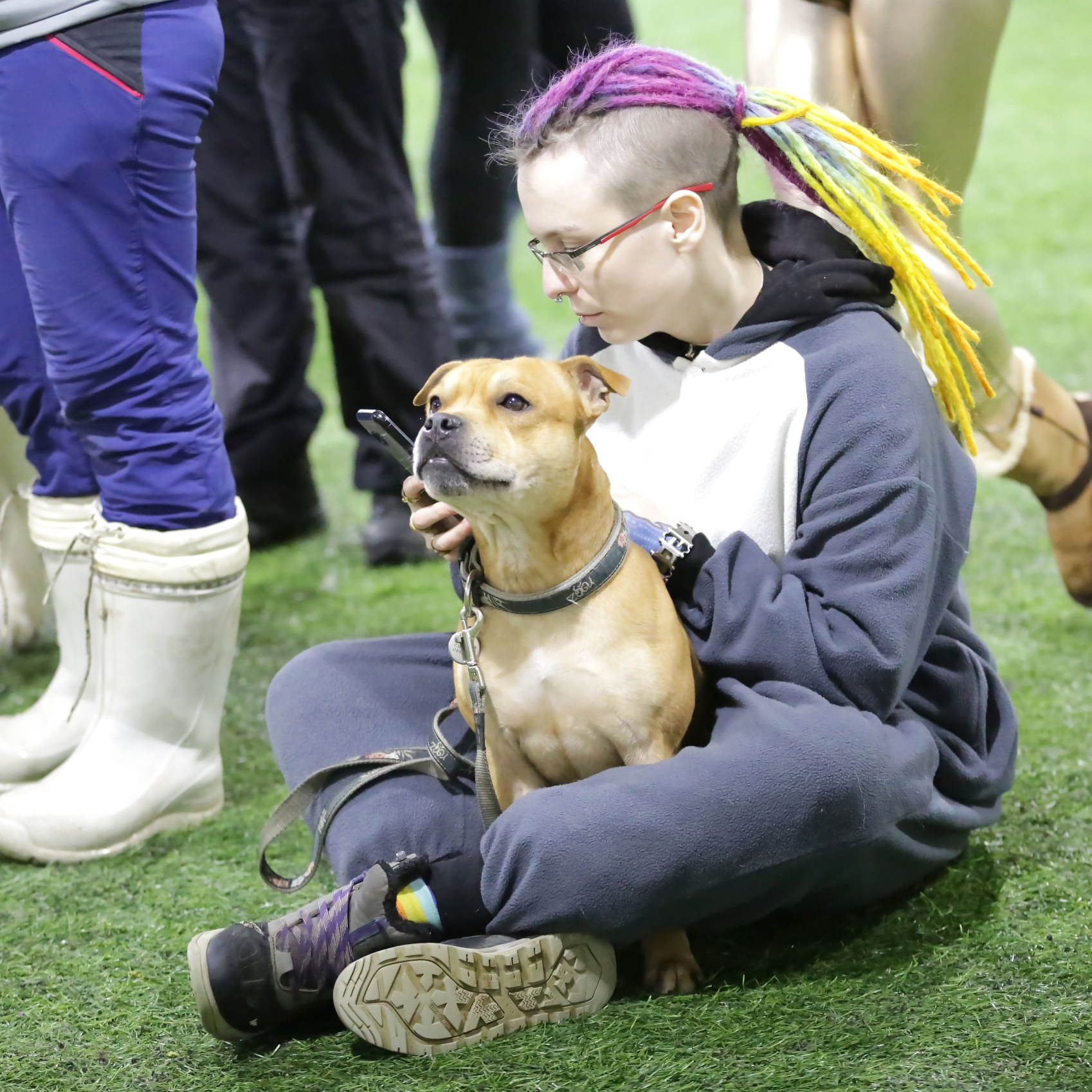 BLGKV питомник собак