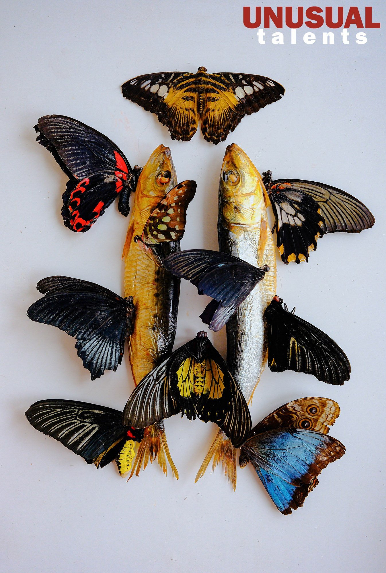 Vadim Zryuev (Russia). UNUSUAL TALENT magazine