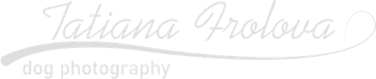 mydoginthephoto.ru
