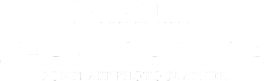 shapovalovaa.wfolio.pro
