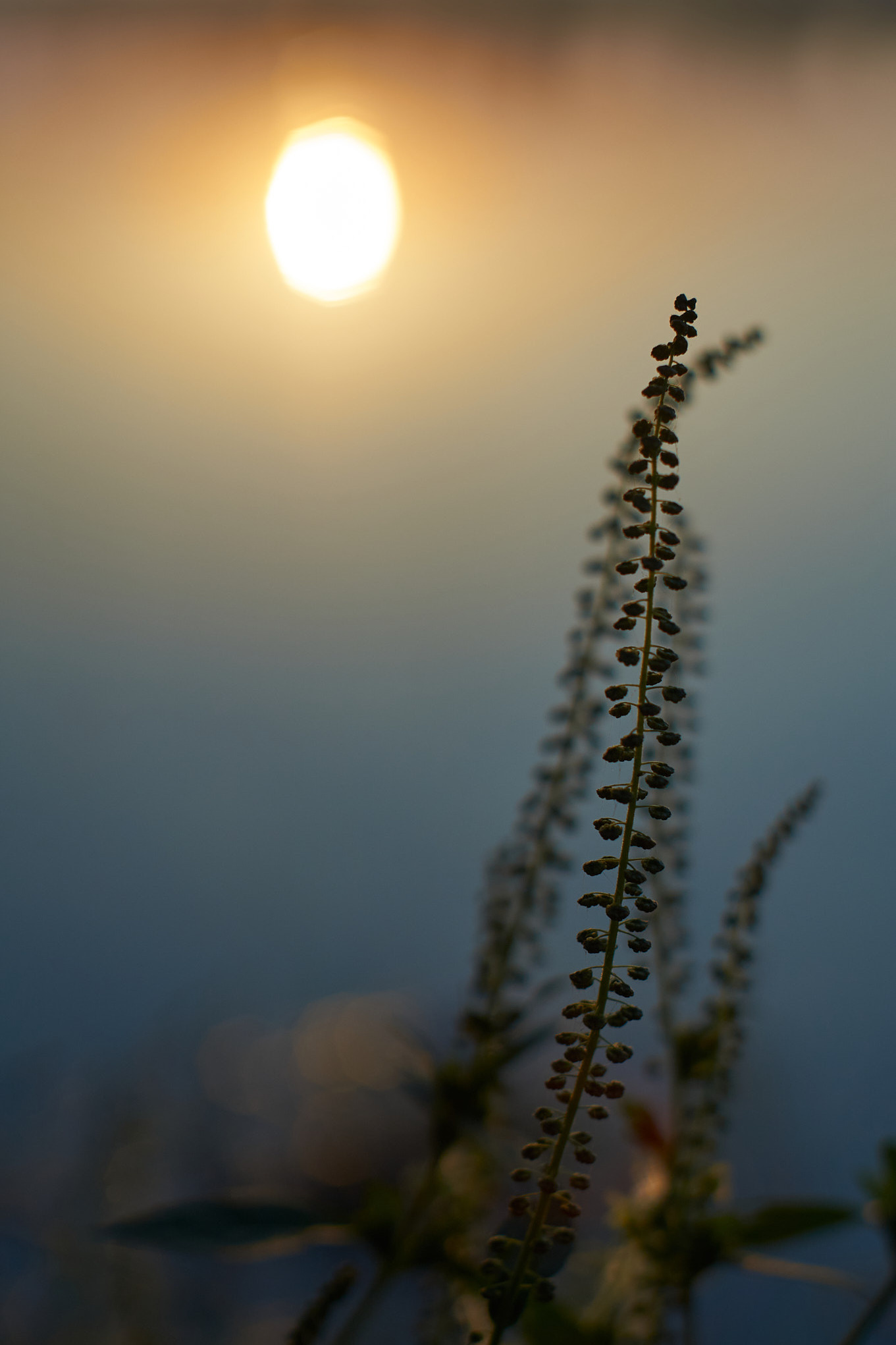 Photographer in Kaliningrad