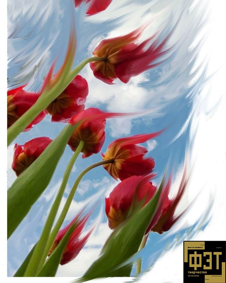 ФЭТ: Фотография Творчество Эстетика