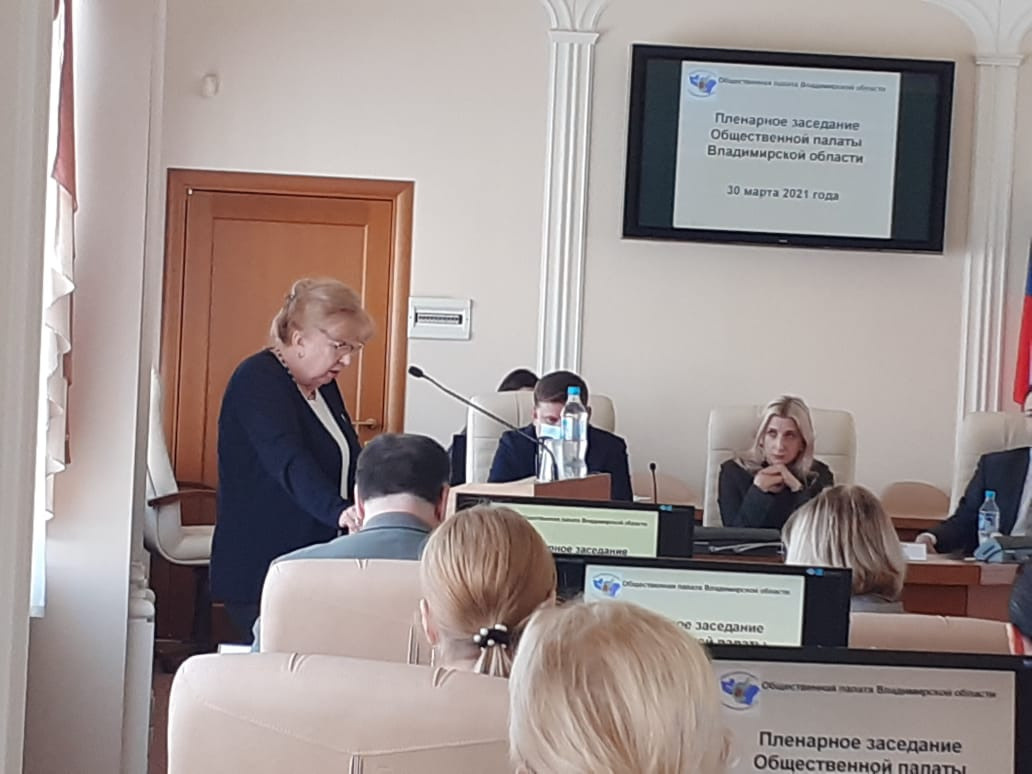 Пленарное заседани Общественной палаты Владимирской области. Фонд Мама