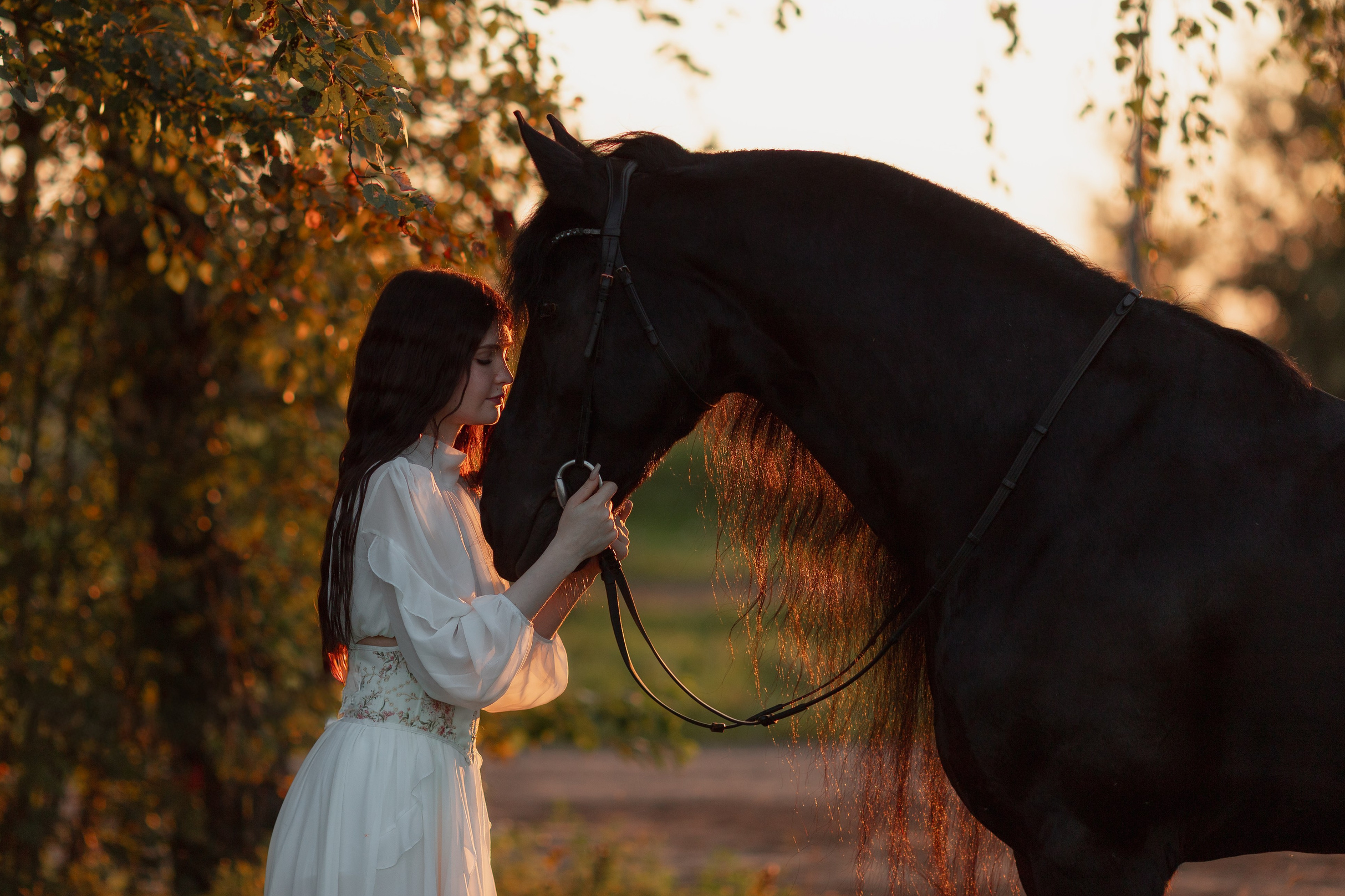 Фотосессии с лошадьми в Москве от фотографа Кутейниковой Светланы