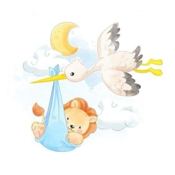 АЭРОСТУДИЯ «СОЗВЕЗДИЕ ЛЬВА»