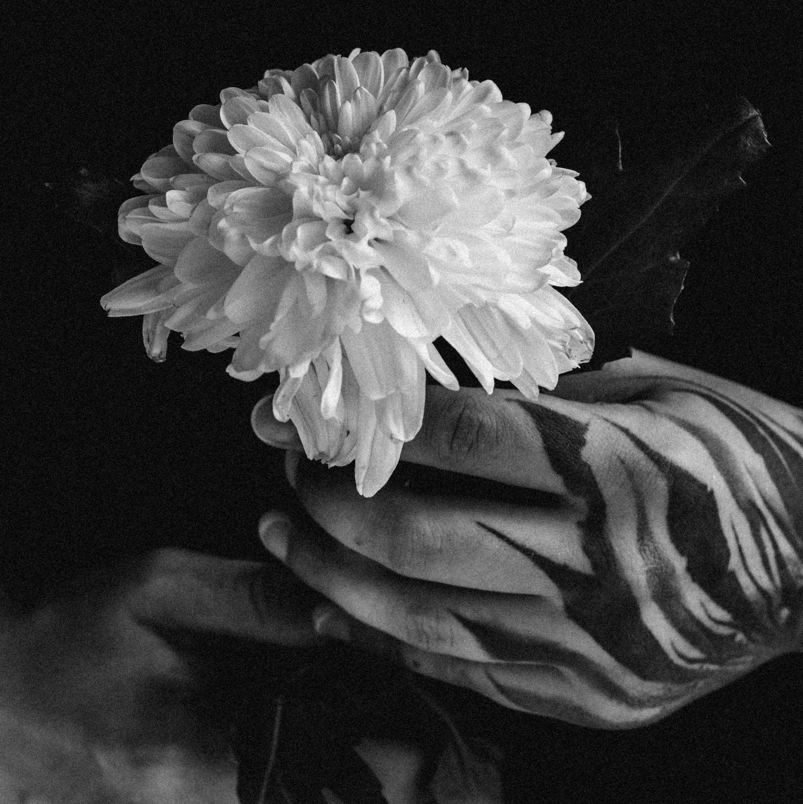 Контакты. Портретный и репортажный фотограф г. Тюмень Ник Стенсил